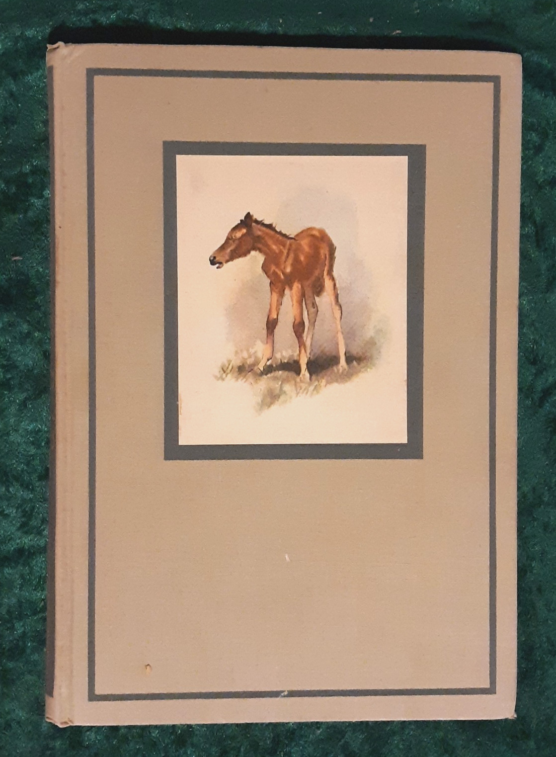 The Red Pony – John Steinbeck – 1st Illustrated Edition 1945 – Hardcover w/ Box