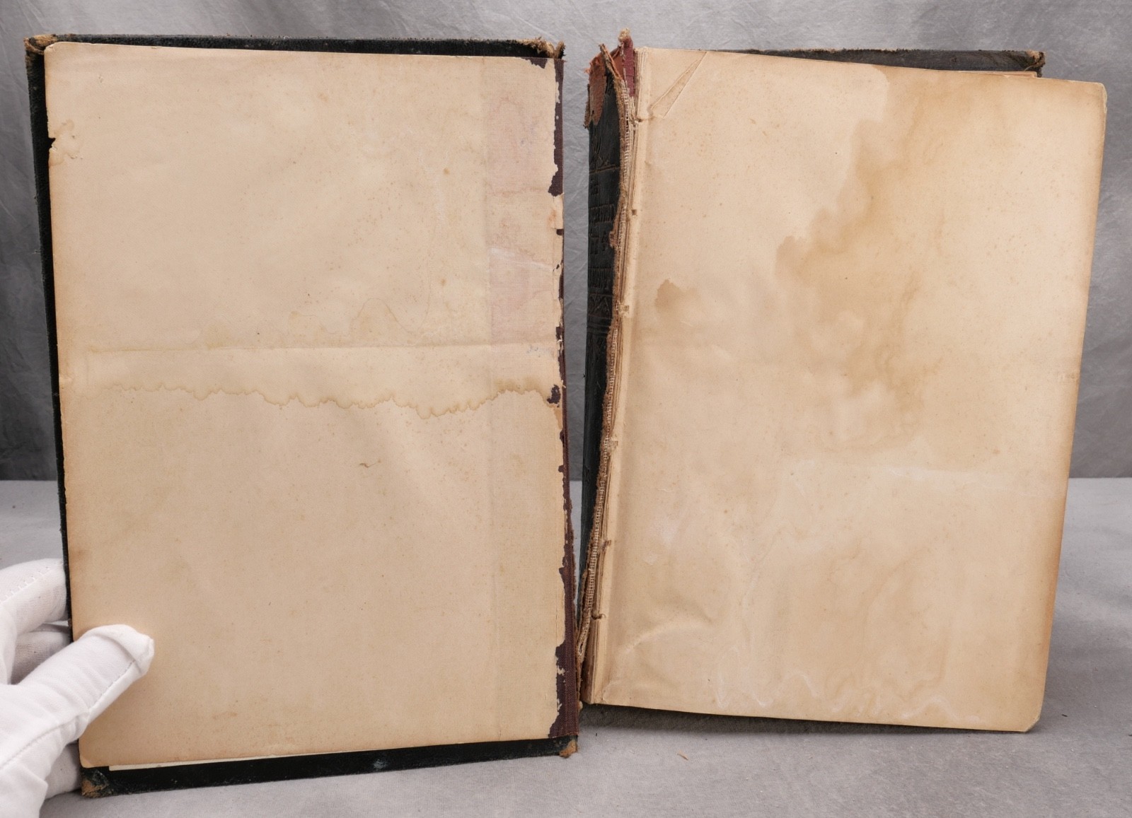 The Illustrated New Testament – Browning & Co. – FIRST US EDITION – 1881