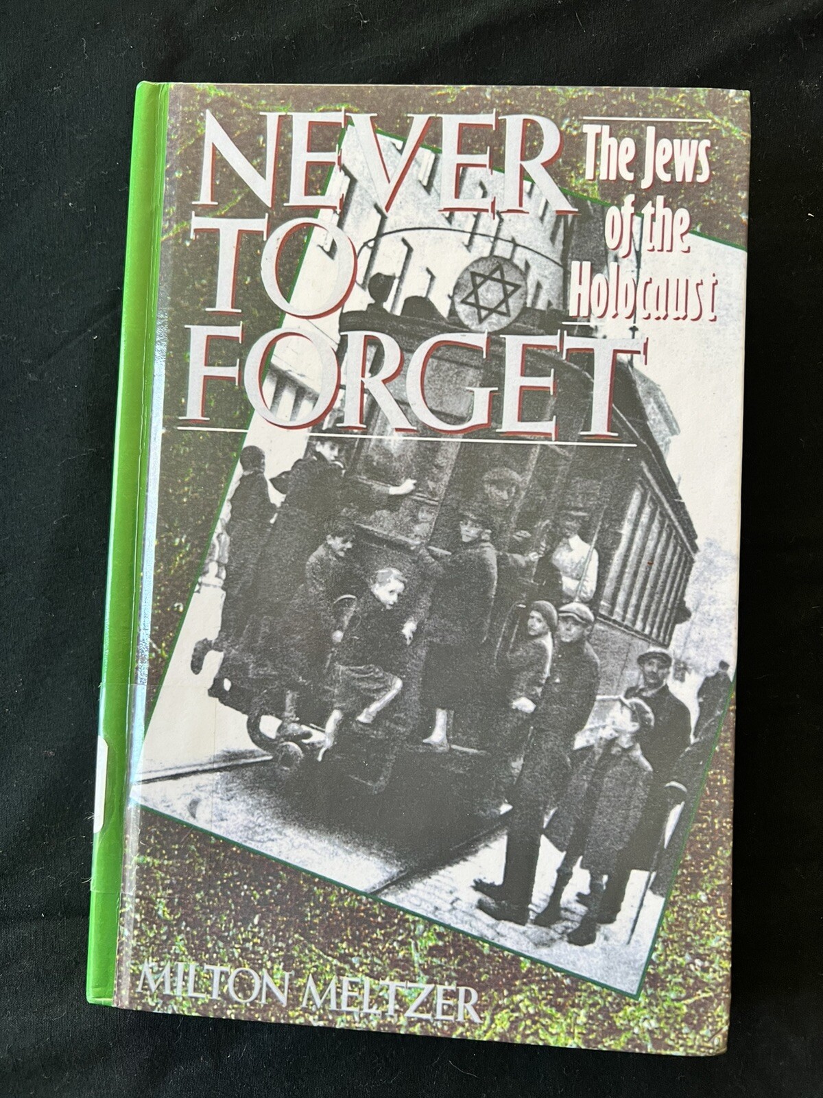 Never To Forget The Jews Of The Holocaust Milton Meltzer *Library Copy