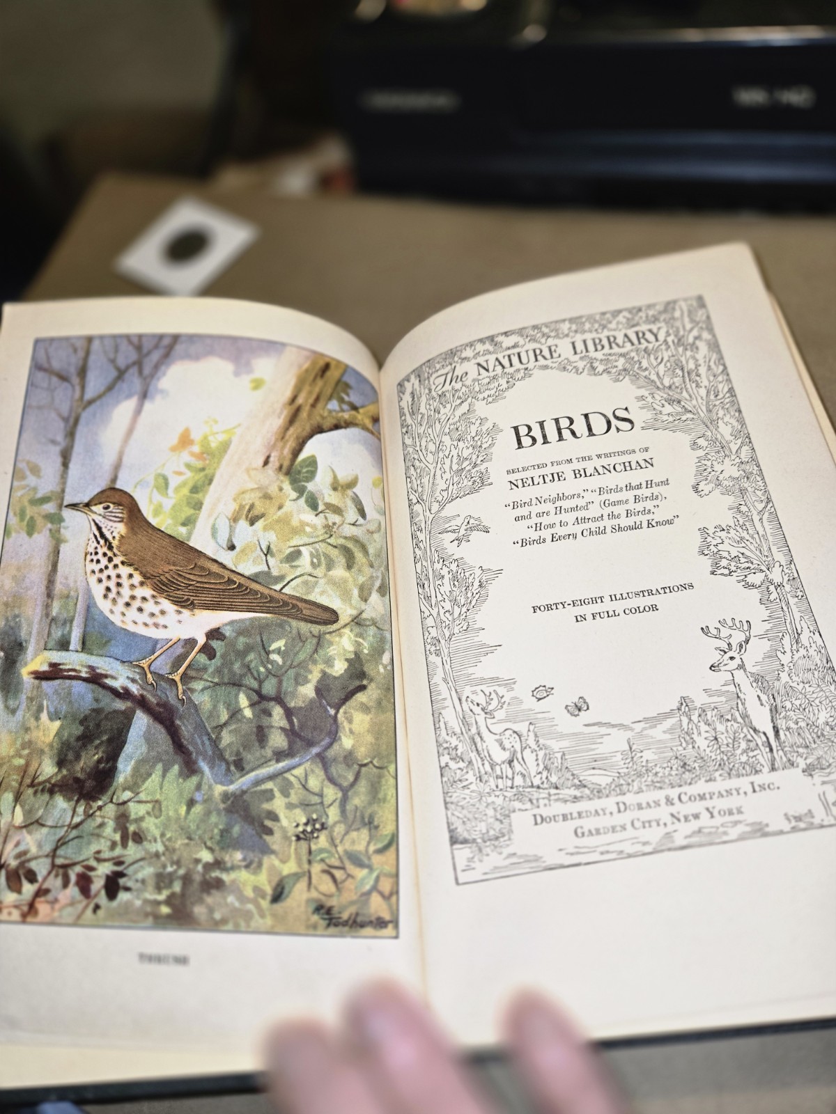 1926 The Nature Library – 2 Vol. Set; „Birds“, And „Butterflies“