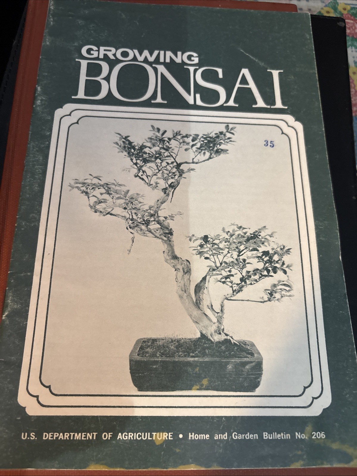 Vintage Growing Bonsai by U.S. Department Of Agriculture Bulletin No. 206 1973
