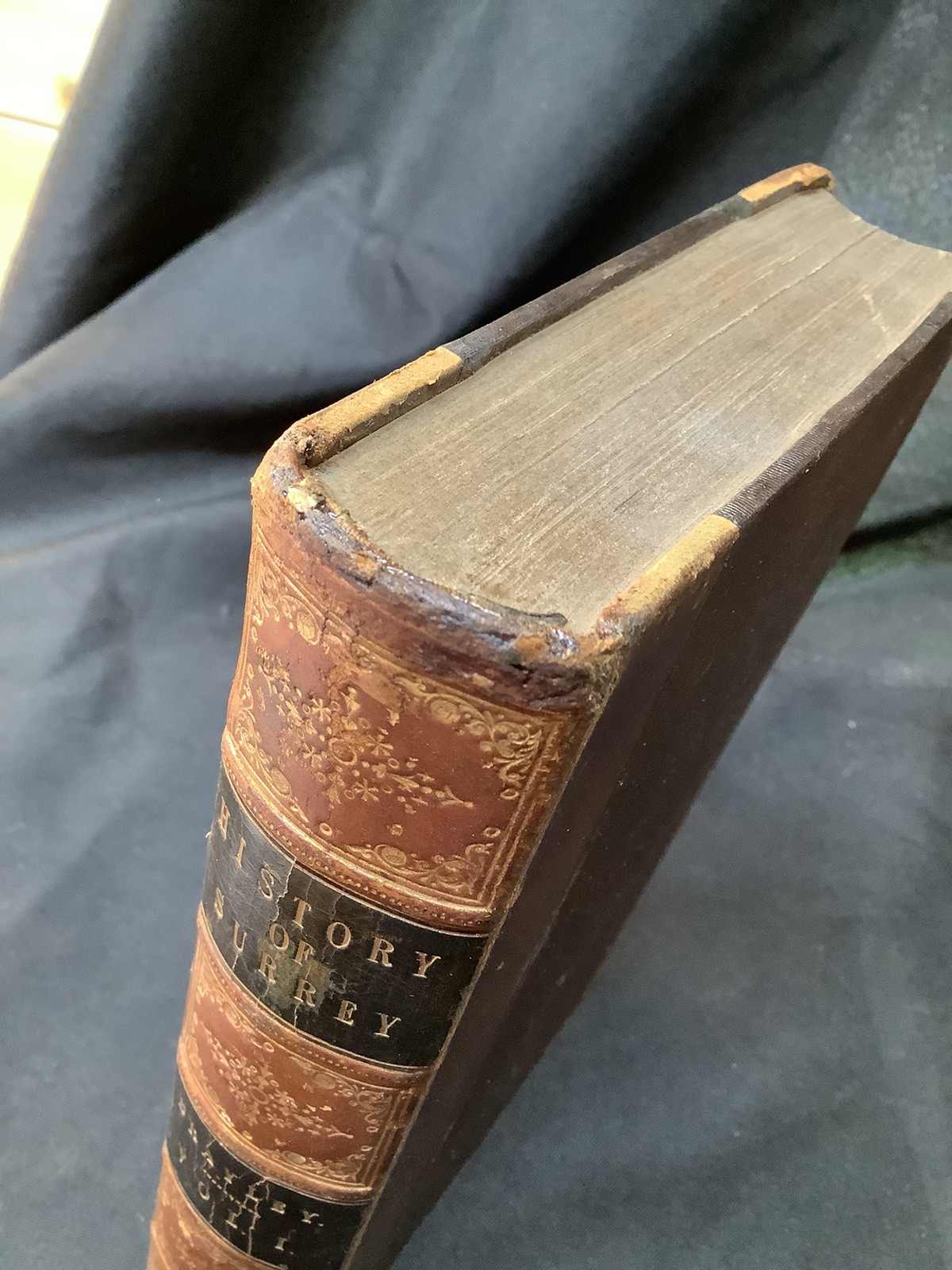 Vol.1 Only 1841 Topographical History Of Surrey By Brayley HB