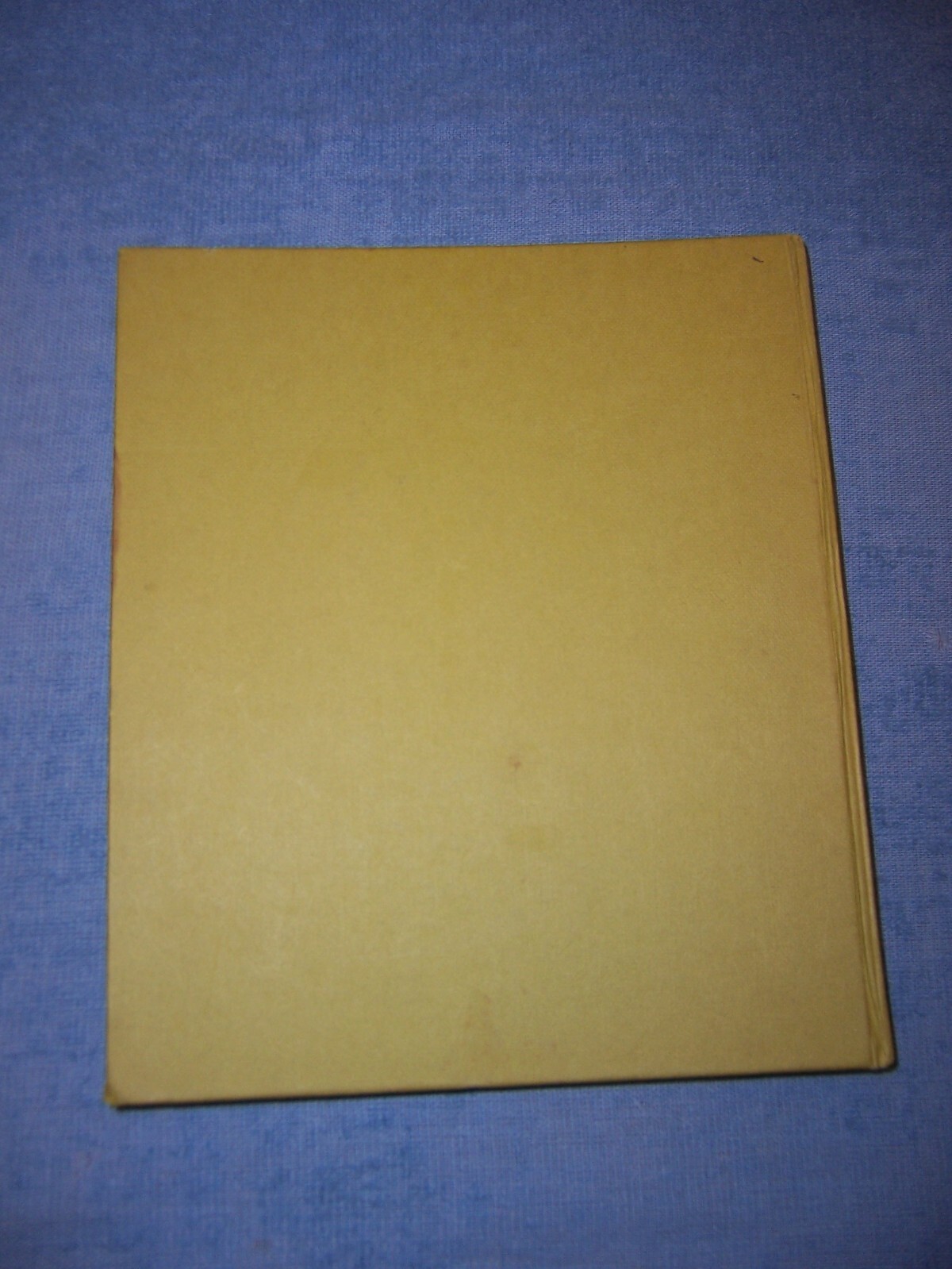 FIGHTER! by Werner Held/1st Ed/HC/Foreign Military/WW II/1939-45
