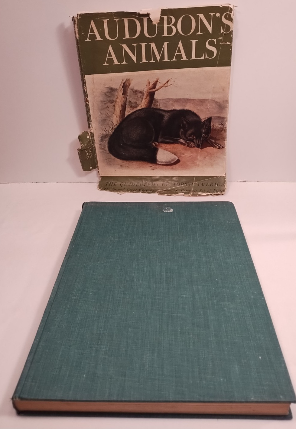 AUDUBON’S ANIMALS THE QUADRUPEDS OF NORTH AMERICA Alice Ford reprinted 1954