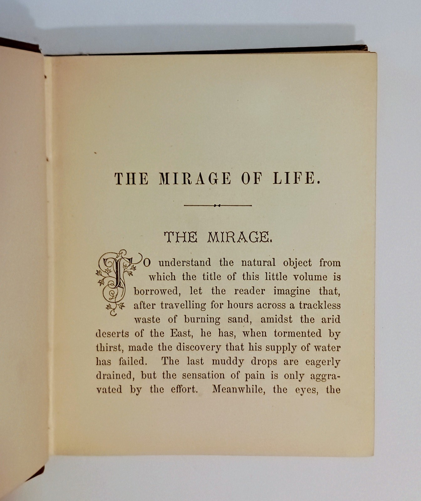 1890’s The Mirage of Life, JOHN TENNIEL Illustrations, Fame Wealth Power etc.