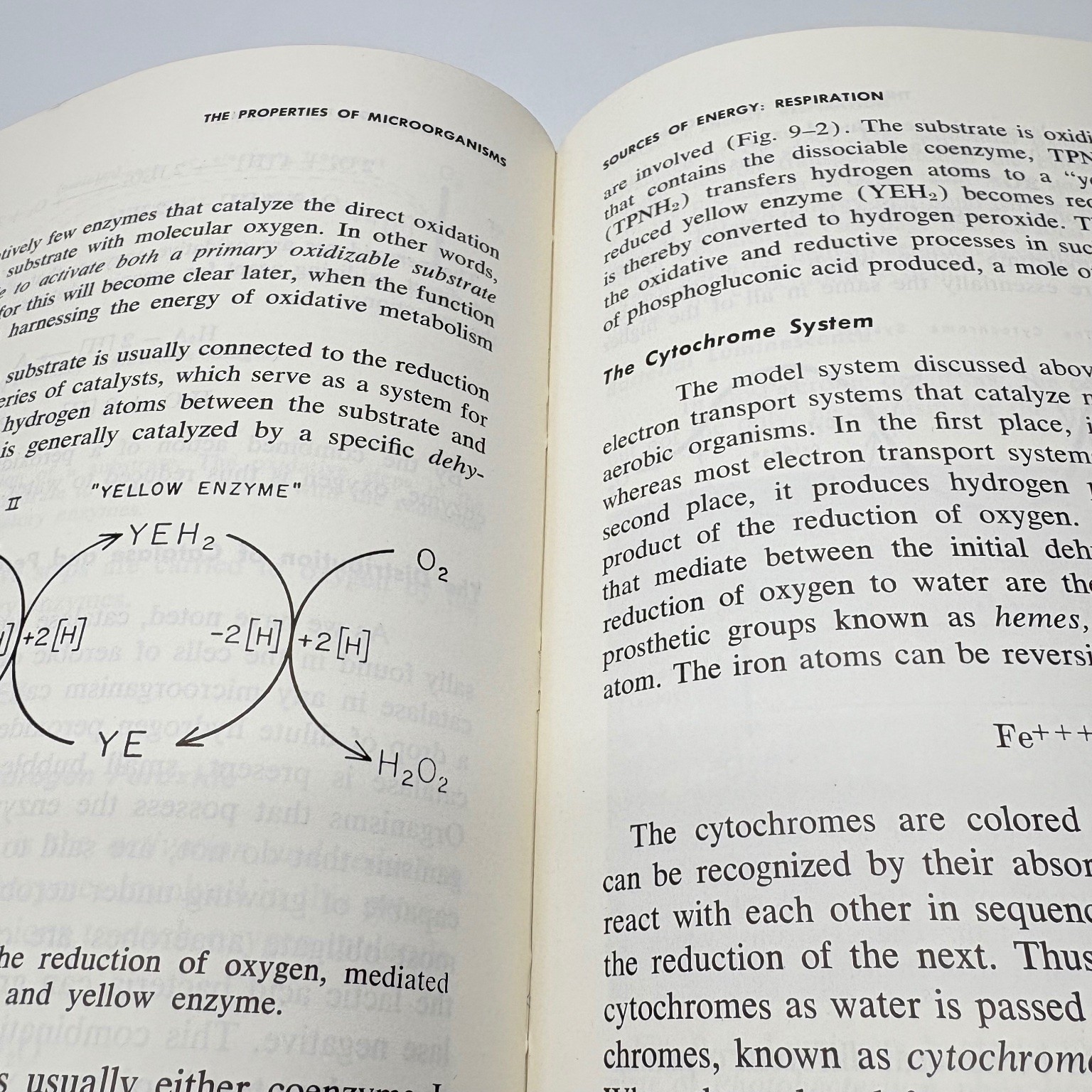 The Microbial World Stanier Doudoroff Adelberg 1961 5th Printing Prentice Hall