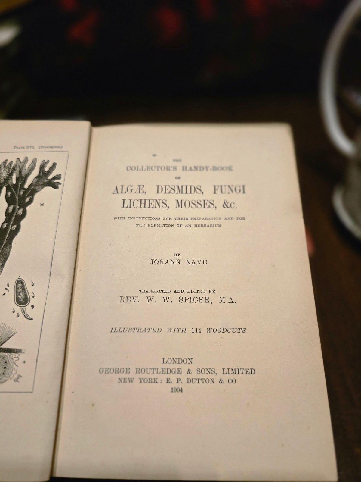 The Collector’s Handy-Book of Algae, Fungi, Lichens, Mosses by Johann Nave – …