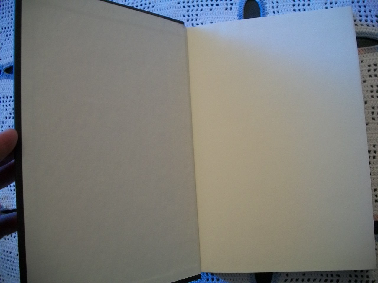 Wet Work (Christopher Buckley, 1990 1st Edition HCDJ)