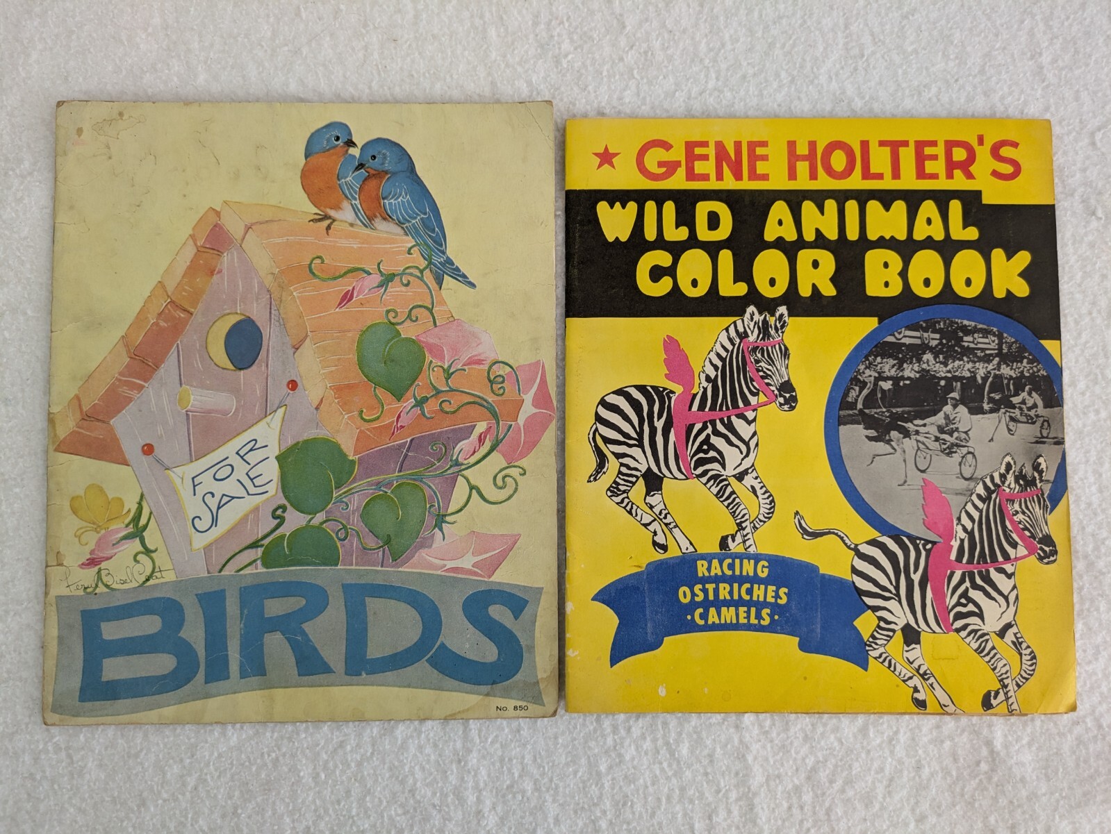 Lot of 6 Vintage CHILDREN’S ANIMAL PICTURE BOOKS Birds Wild Animals Kittens