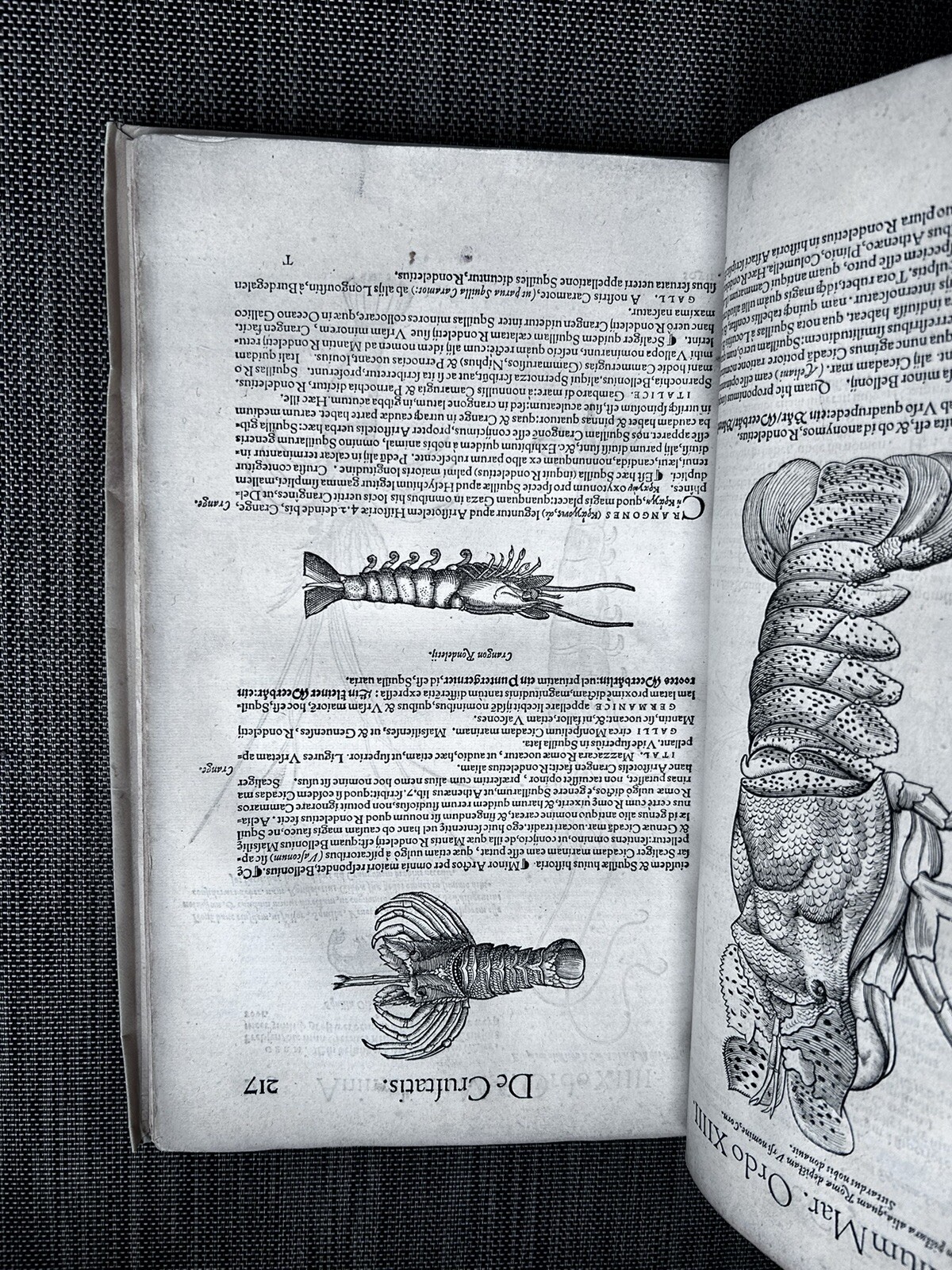 1560 GESNER on FISH AQUATIC ANIMALS SEA MONSTERS Renaissance ICHTHYOLOGY PMM