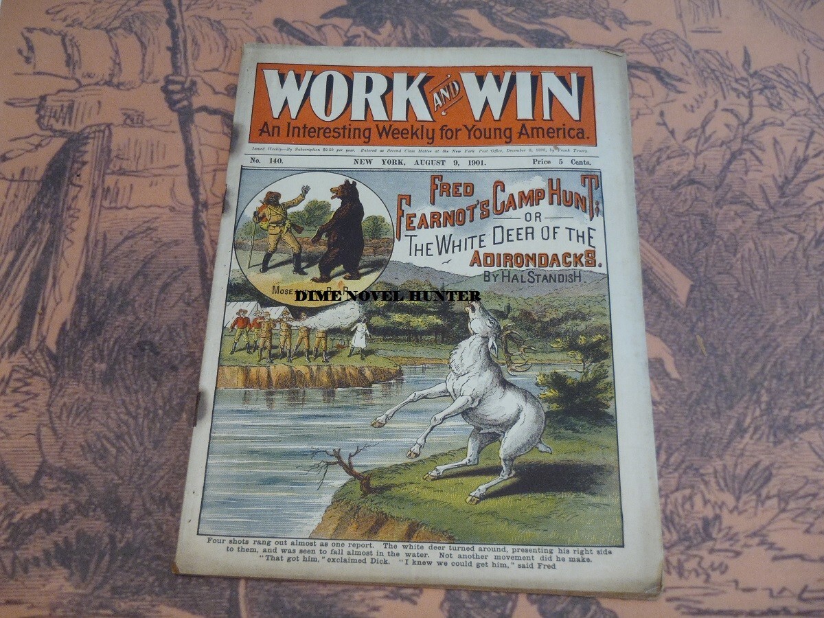 ADIRONDACKS WORK AND WIN #140 BRIGHT COLOR COVER FRANK TOUSEY VG 1901 DIME NOVEL