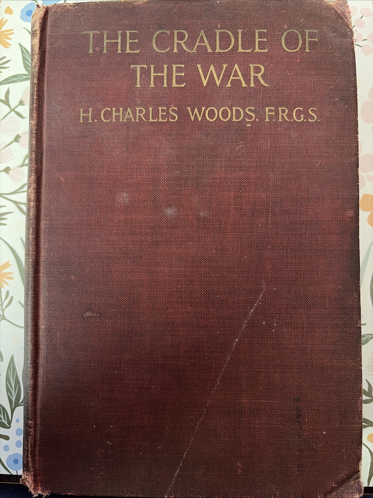 Very RARE Antique Hardcover Book The Cradle Of The War By H Charles Woods 1918