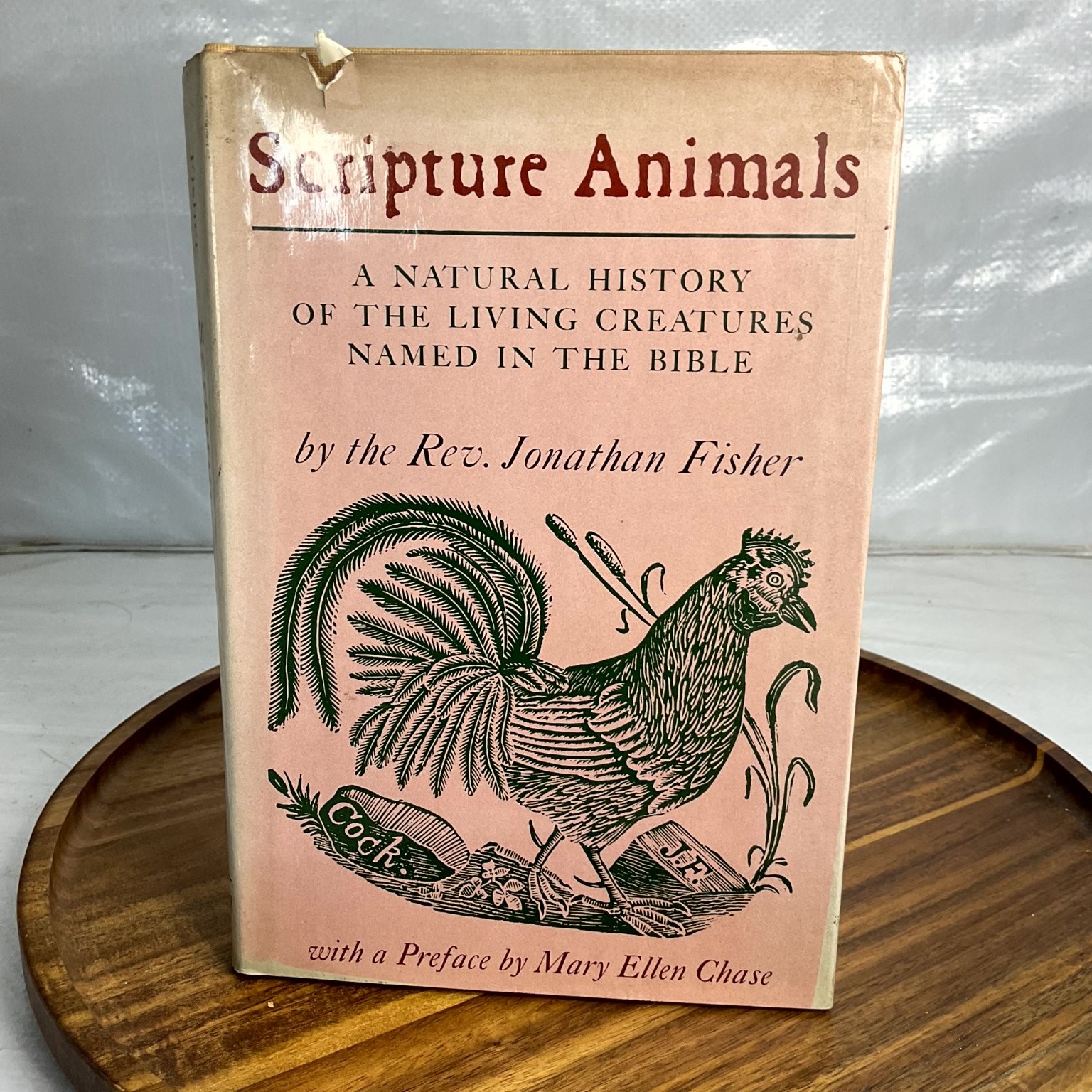 Scripture Animals Jonathan Fisher 1972 Natural History Bible Woodcuts
