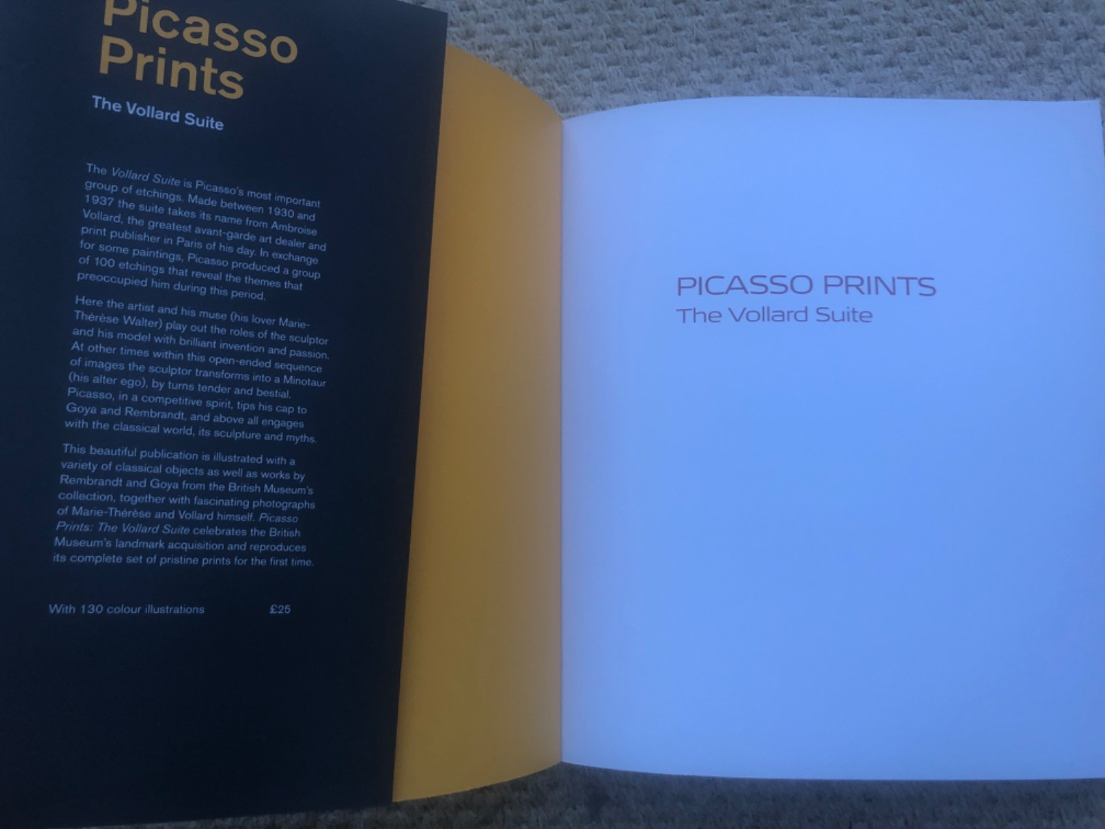 Picasso Prints The Vollard Suite Stephen Coppel 2012 Art Book
