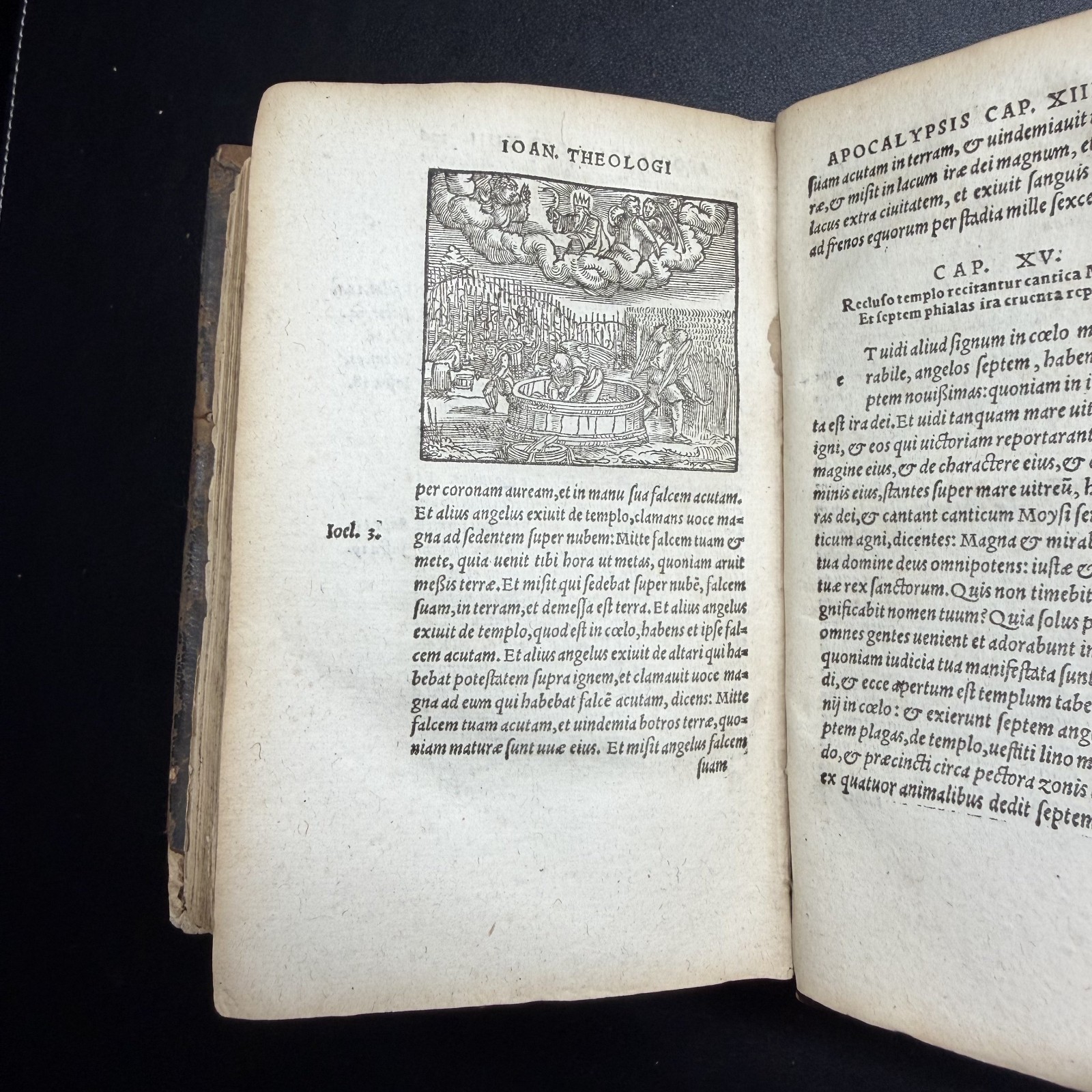 1567 ?? Erasmus Novi Testamenti, Latin NT, 100+ Woodcuts, Rihel