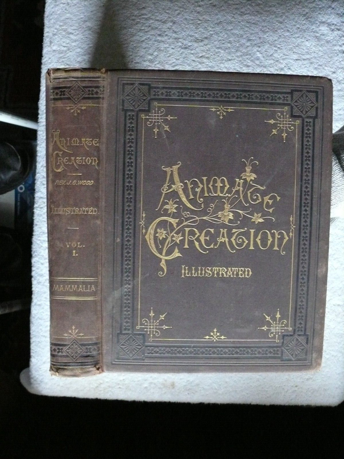 ANIMATE CREATION Volume 1 by J. G. Wood. New York: Selmar Hess 1885