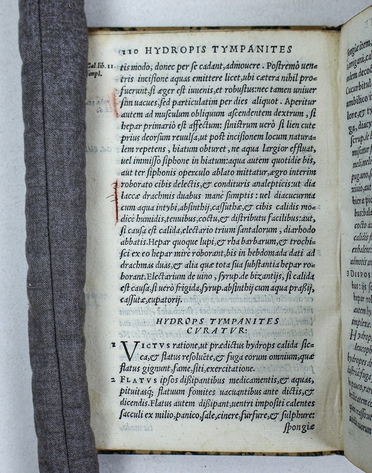 Iacobum Sylvium / MORBORUM INTERNORUM PROPE OMNIUM CURATIO BREVI METHODO 1549