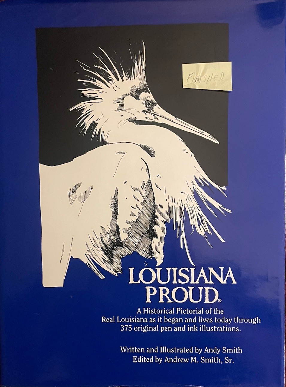 Louisiana Proud- A Historical Pictorial – 375 Original Pen and Ink Illustrations