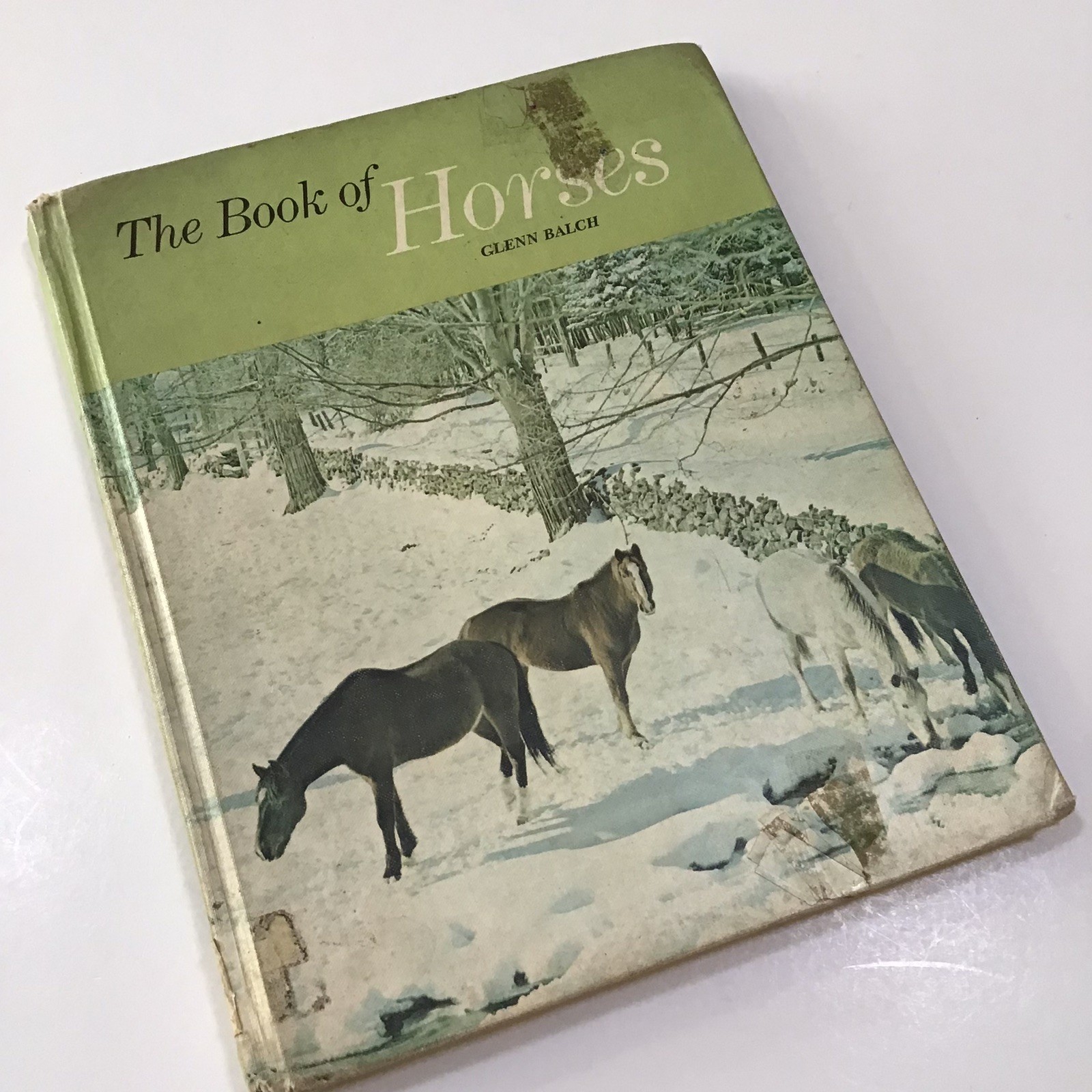 The Book of Horses Glenn Balch HC 1968 Four Winds Press Photographs Nonfiction