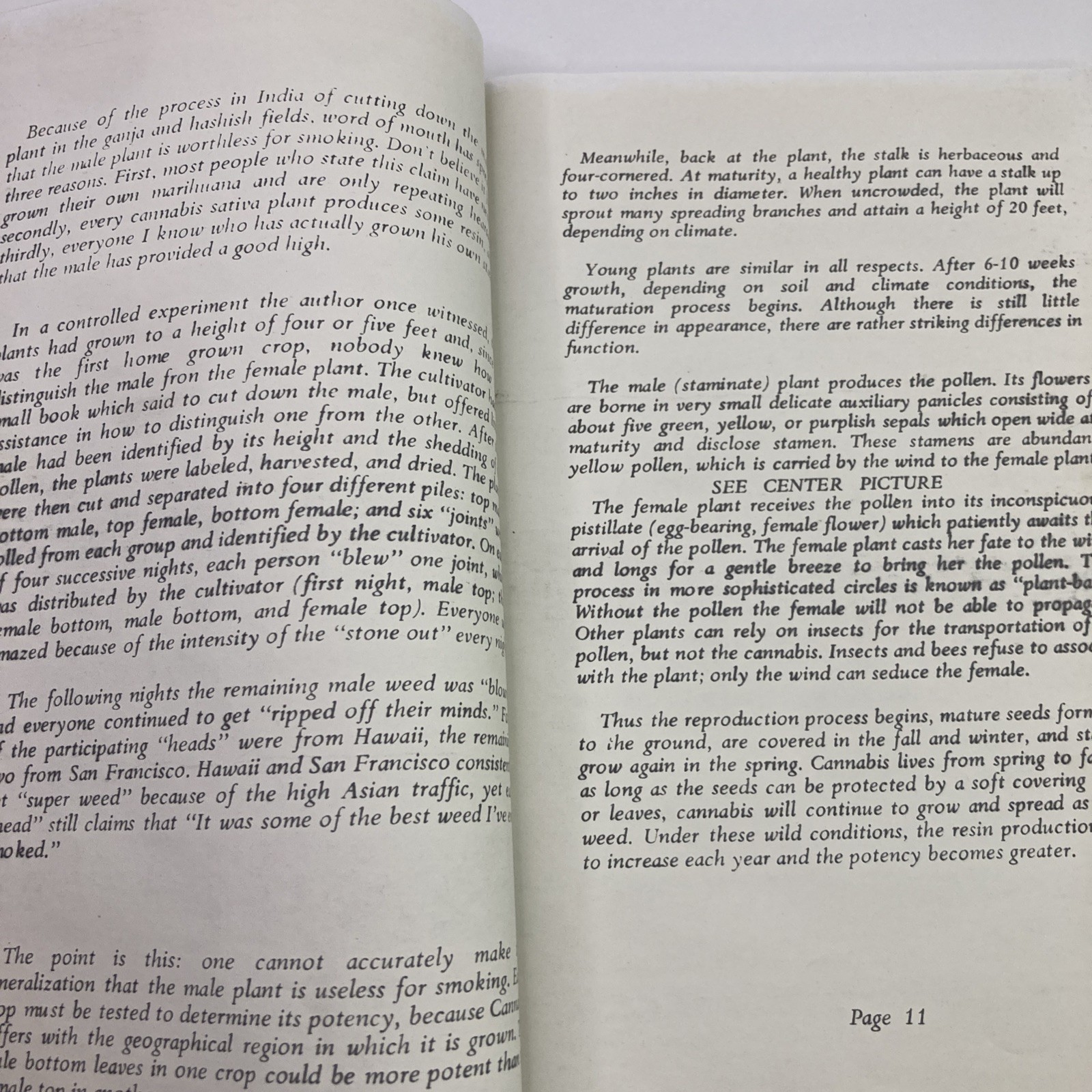 VNTG The Complete Guide to Growing Marijuana by Dave Fleming 1970 Peace Press