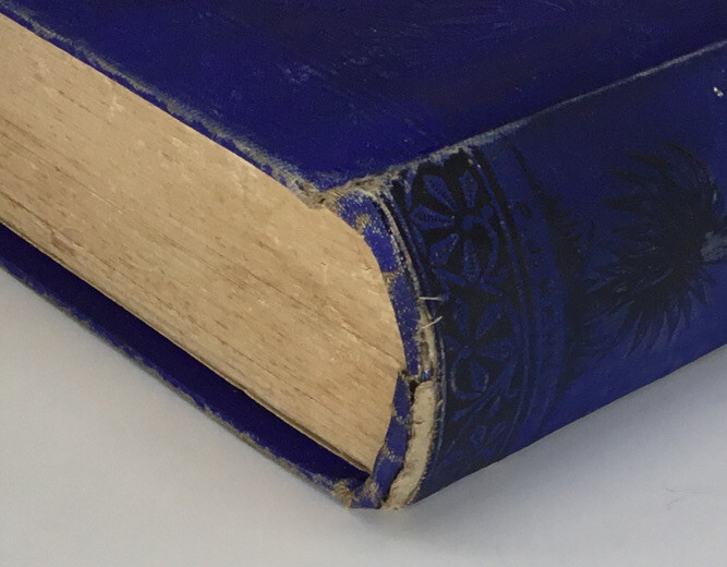 The Present Case Of Ireland Plainly Stated M. F. Cusack Unstated 1st Ed 1881