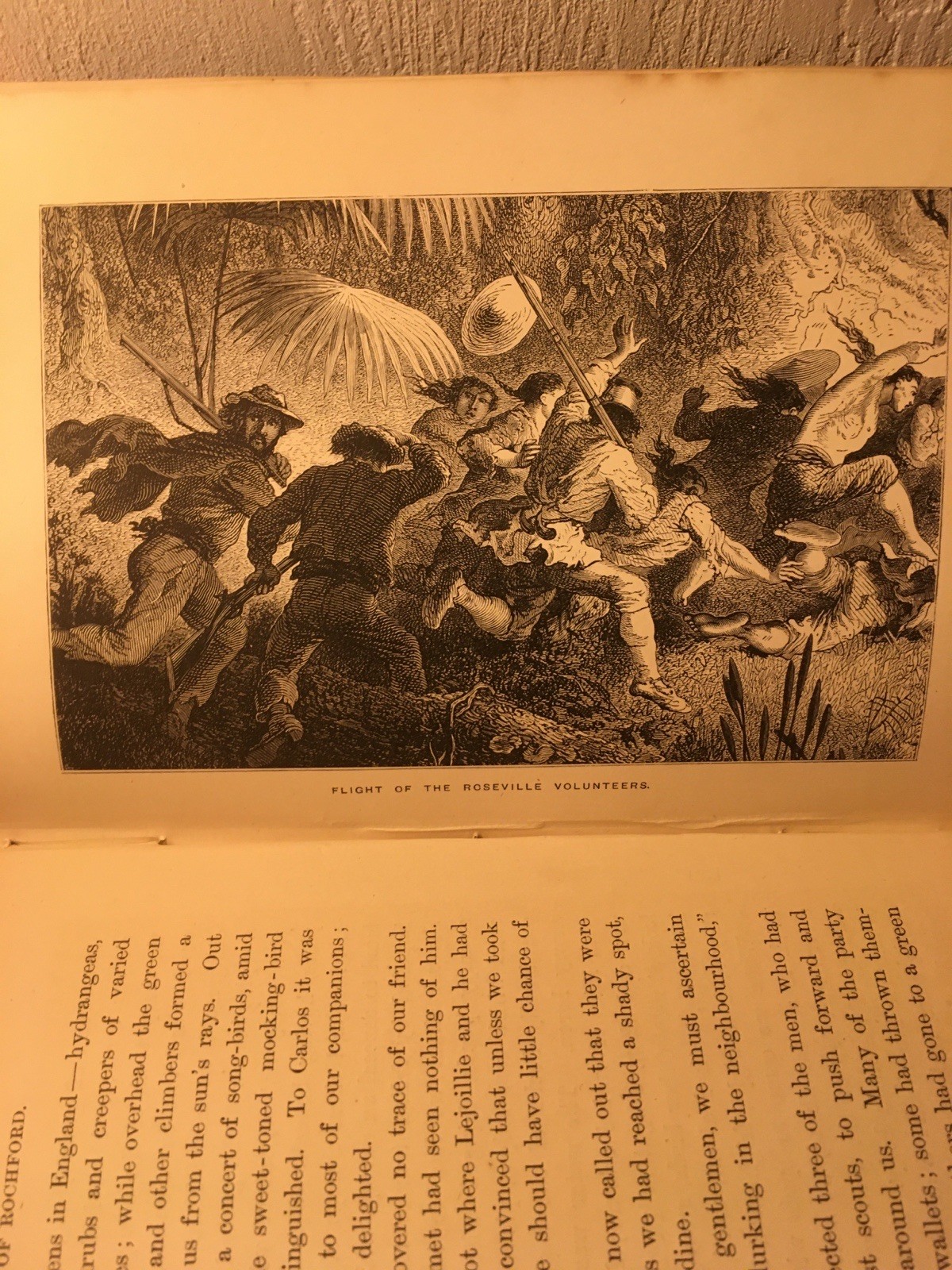 In the Wilds of Florida ~ W.H.G. Kingston 1880 1st ED TRAVEL HUNTING WARFARE