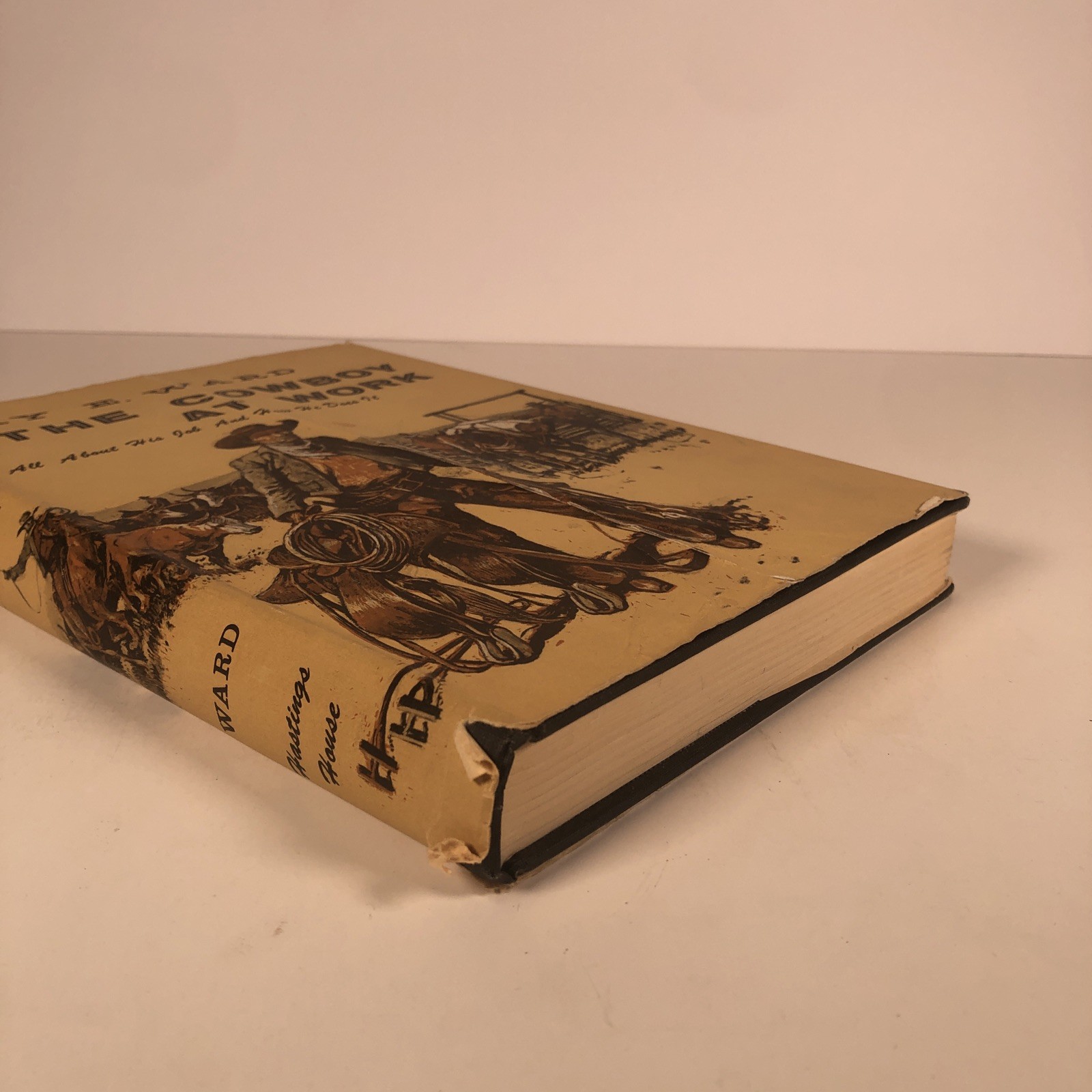 The Cowboy at Work by Fay E. Ward 1958 Hardcover Hastings House Illustrated