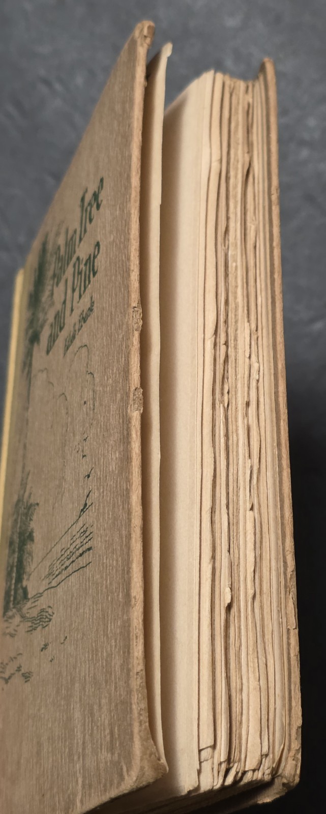 Palm Tree And Pine By Edith Eberle Stories Of The Philippine Islands 1927 *HTF*