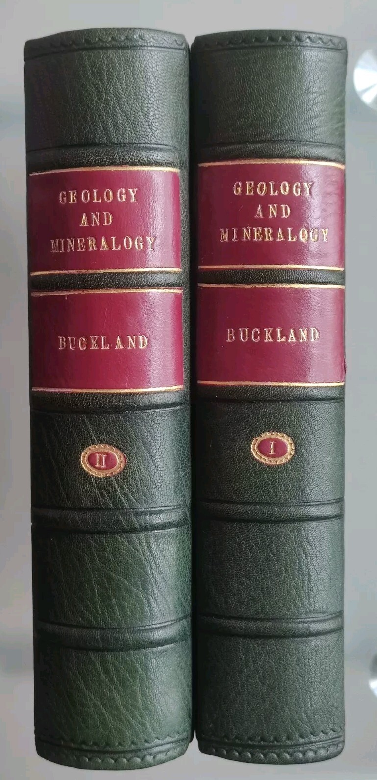 1836 Geology and Mineralogy reference to Natural Theology By William Buckland