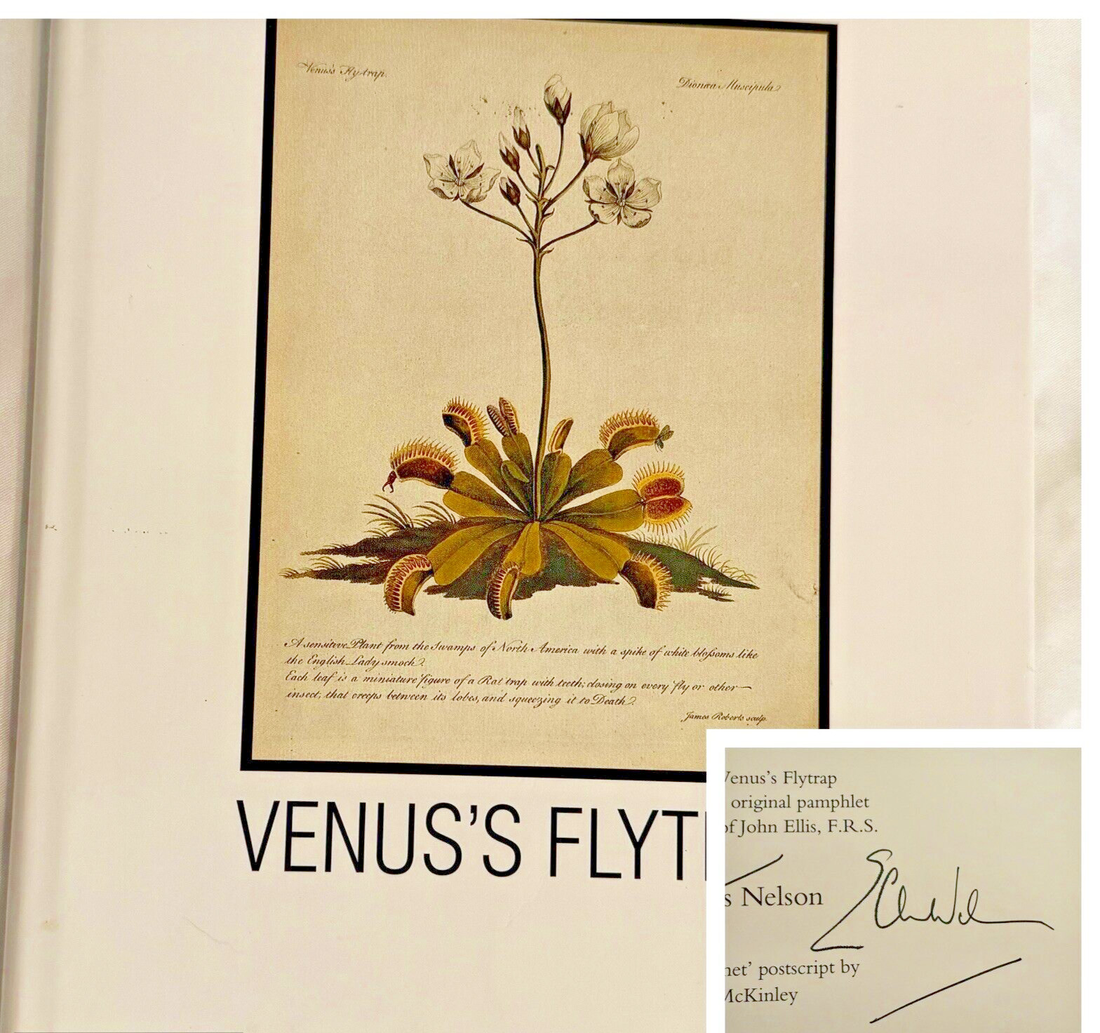 RARE Venus’s Flytrap E Charles Nelson SIGNED 1990 1st ED Botany Book HC DJ
