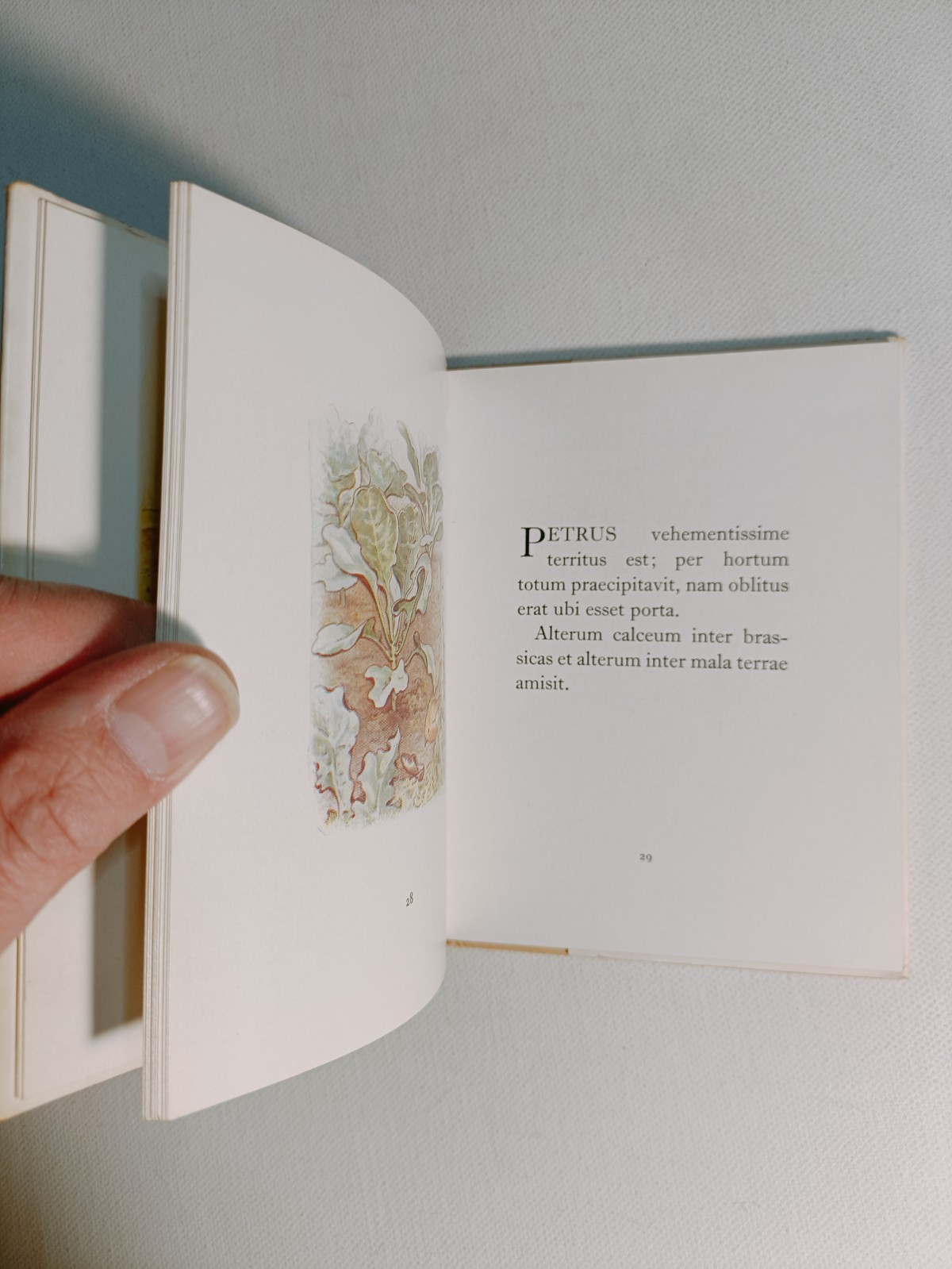 Fabula Petro Cuniculo – Beatricis Potteri – Frederick Warne hardback
