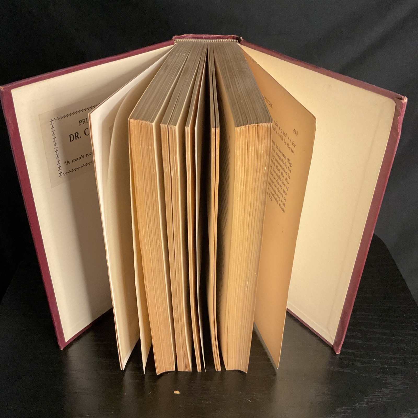 John Ruskin Proserpina St. Mark’s Rest Etc VTG Pre-1899 CLOTH HC ILLUSTRATED