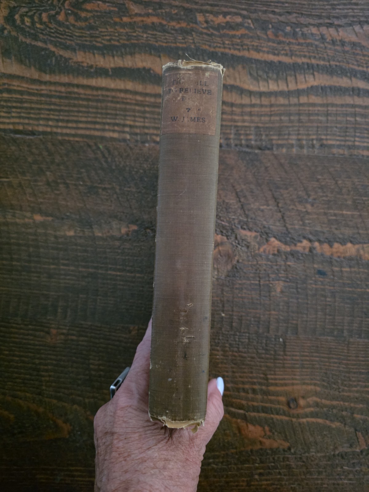 The Will to Believe ~ WILLIAM JAMES ~ First Edition ~ 1st Printing ~ 1897