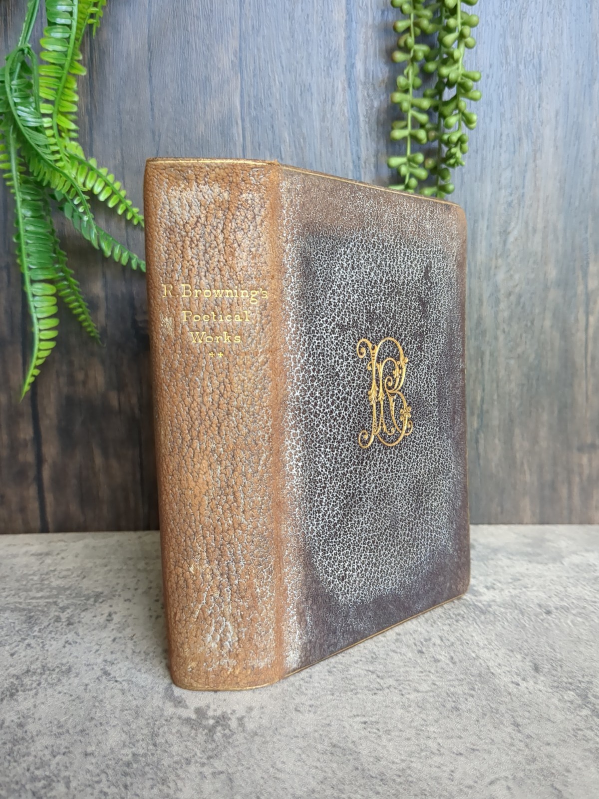 The Poetical Works of Robert Browning 1896 – Smith, Elder, & Co.-Vol. II-Illus.