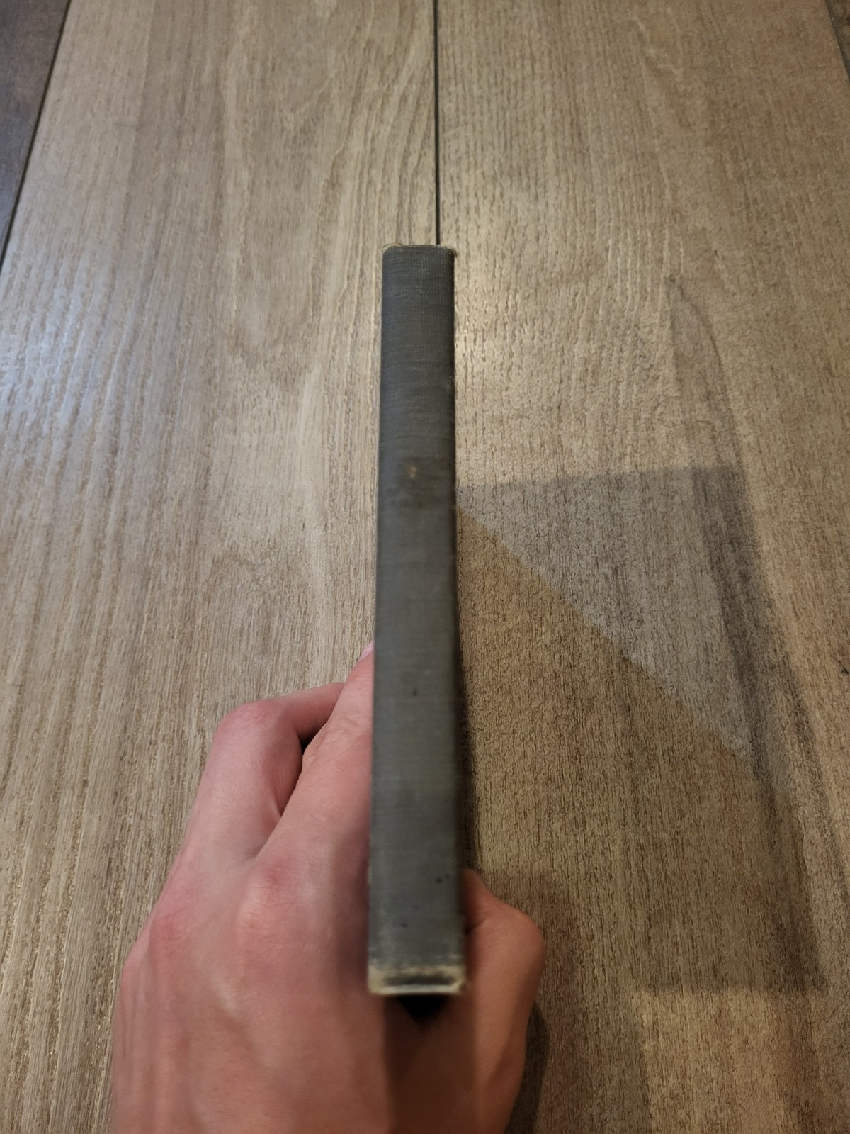 TOASTS Compiled by Margaret Waters 1909 Brewer, Barse And Co Chicago Hardcover
