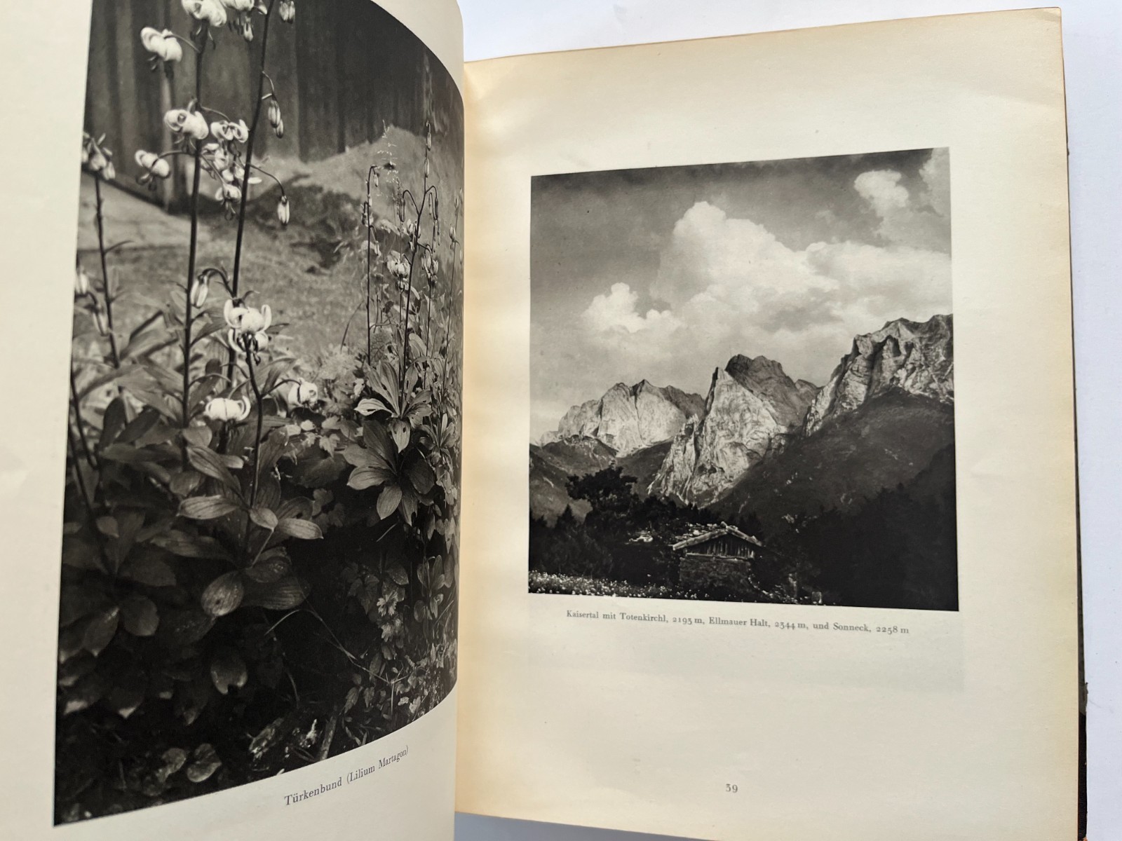 1926 THE ALPS Die Alpen Alpine Photography Hans Schmithals, German Wasmuth