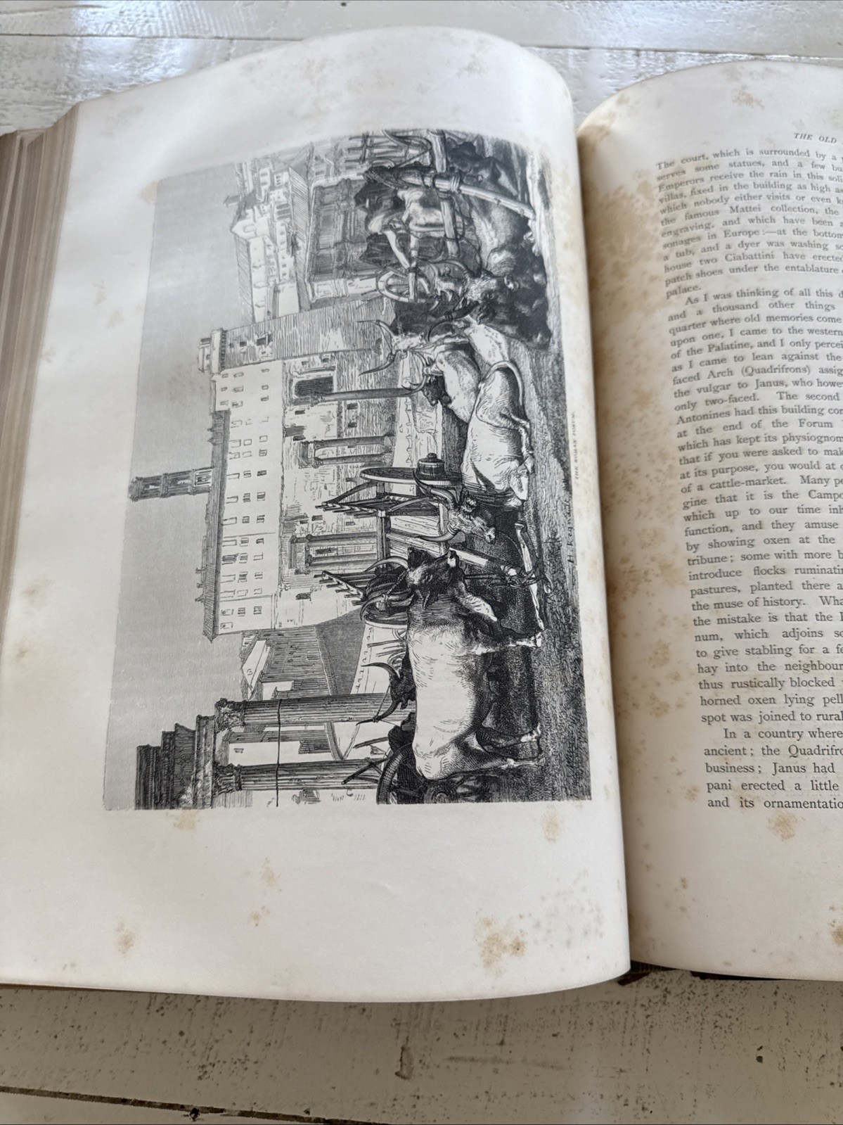 Rome Francis Wey 1872 Half Leather HC Illustrated 345 Engravings