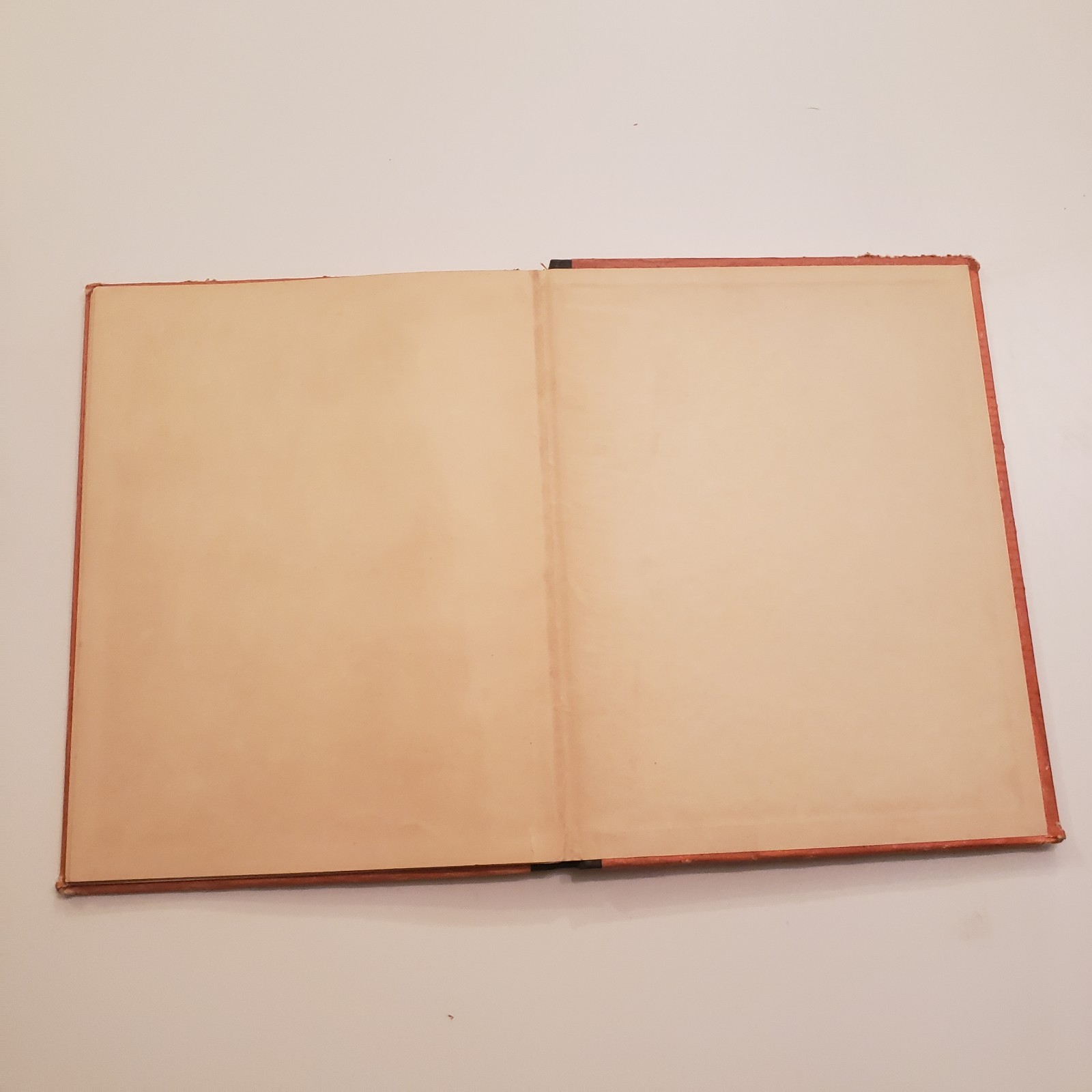 Peter Painter’s Merry-Go-Round Frank Webber Rare 1946 First Edition HC Book Elf