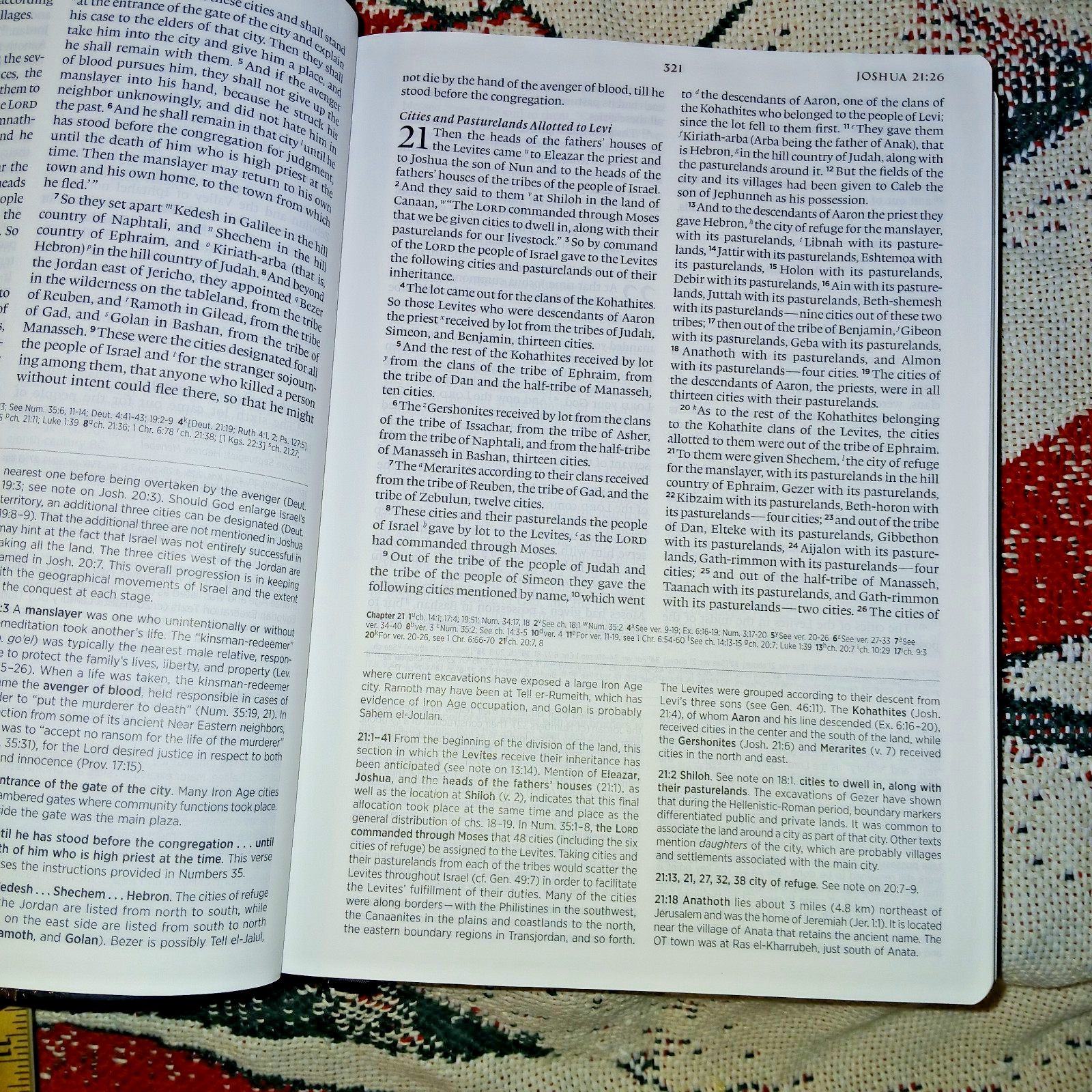 Trutone Archaeology Study Bible — like Knew English Standard Version