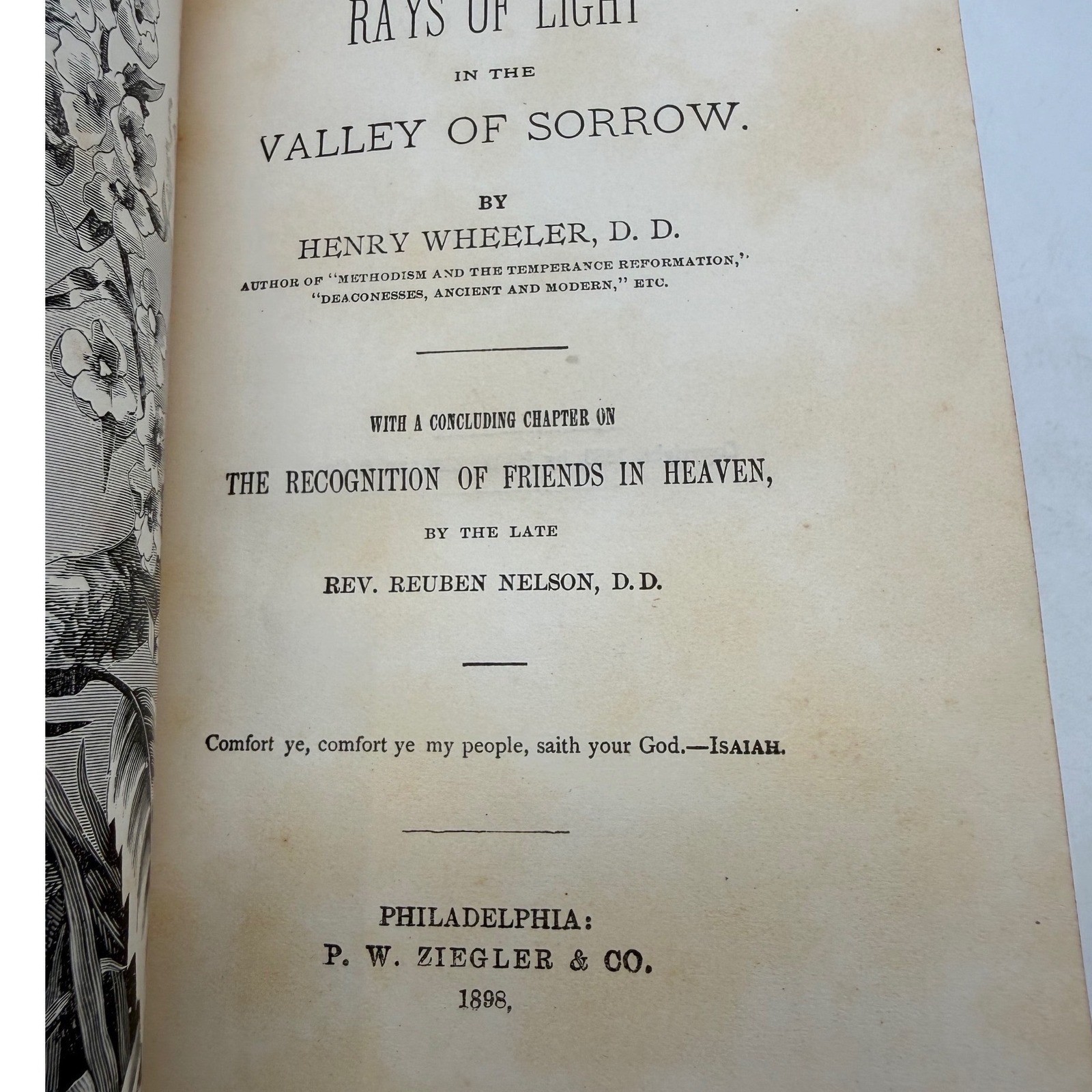 Rays of Light in the Valley of Sorrow Henry Wheeler 1898 Religious Antique Book