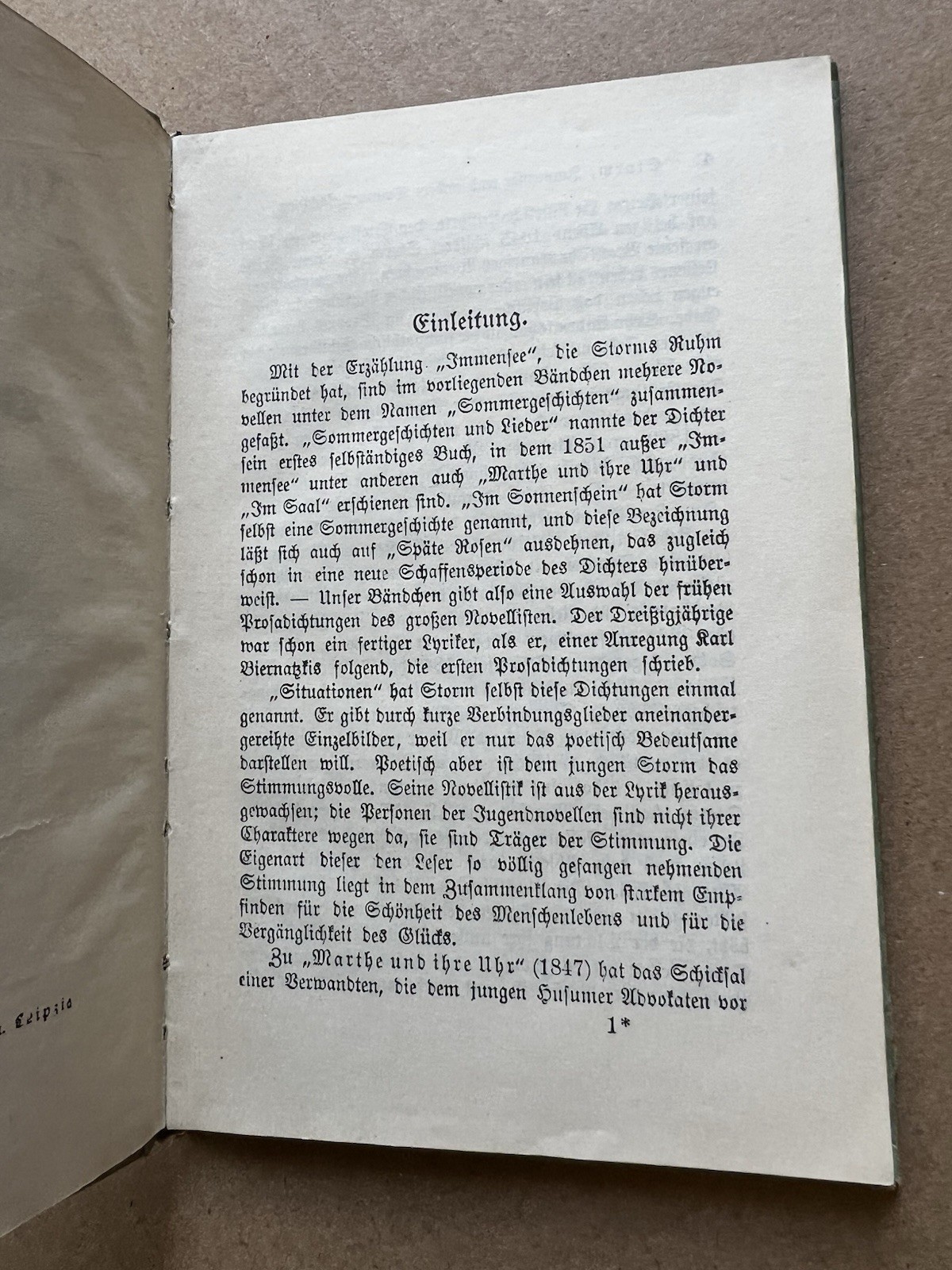 Storm Immensee • 1926 Reclam Leipzig Hardcover German Book Vintage Literature