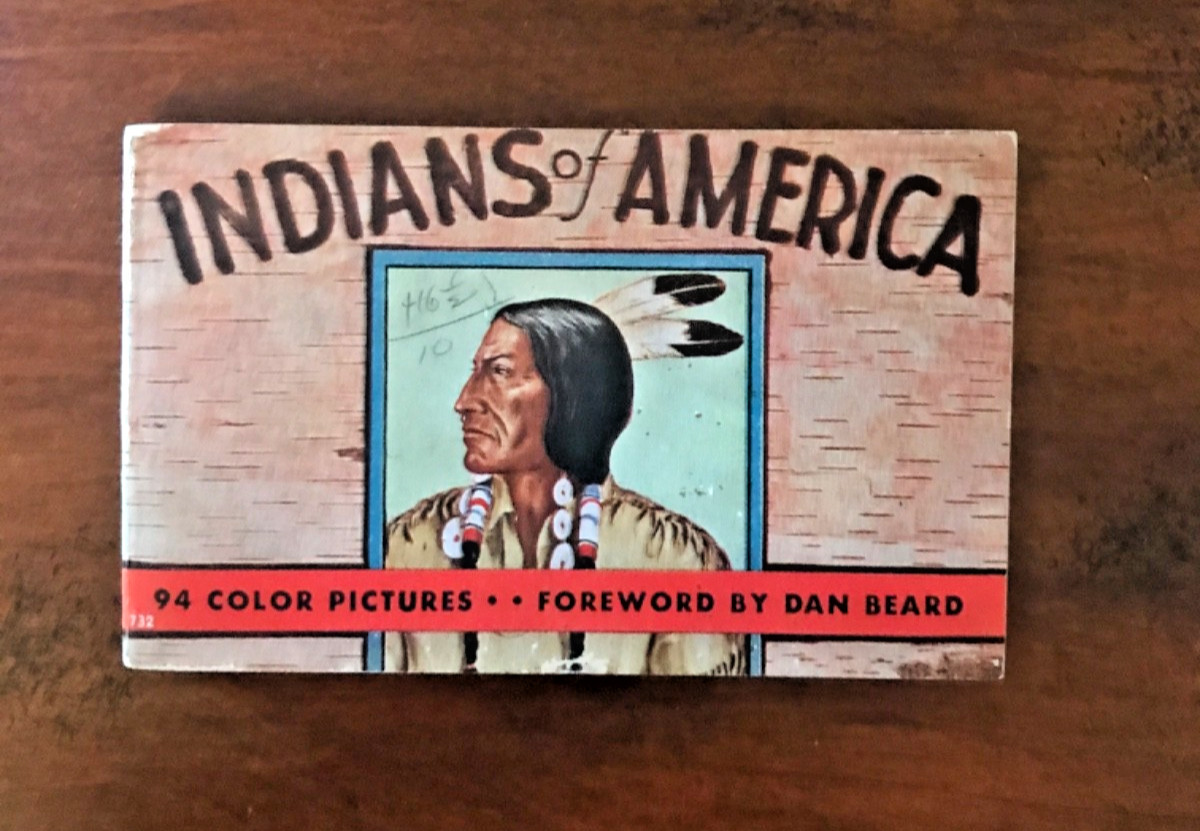 Indians of America by Fazzini, Dan Beard, 94 Color Illustrations Antique 1935