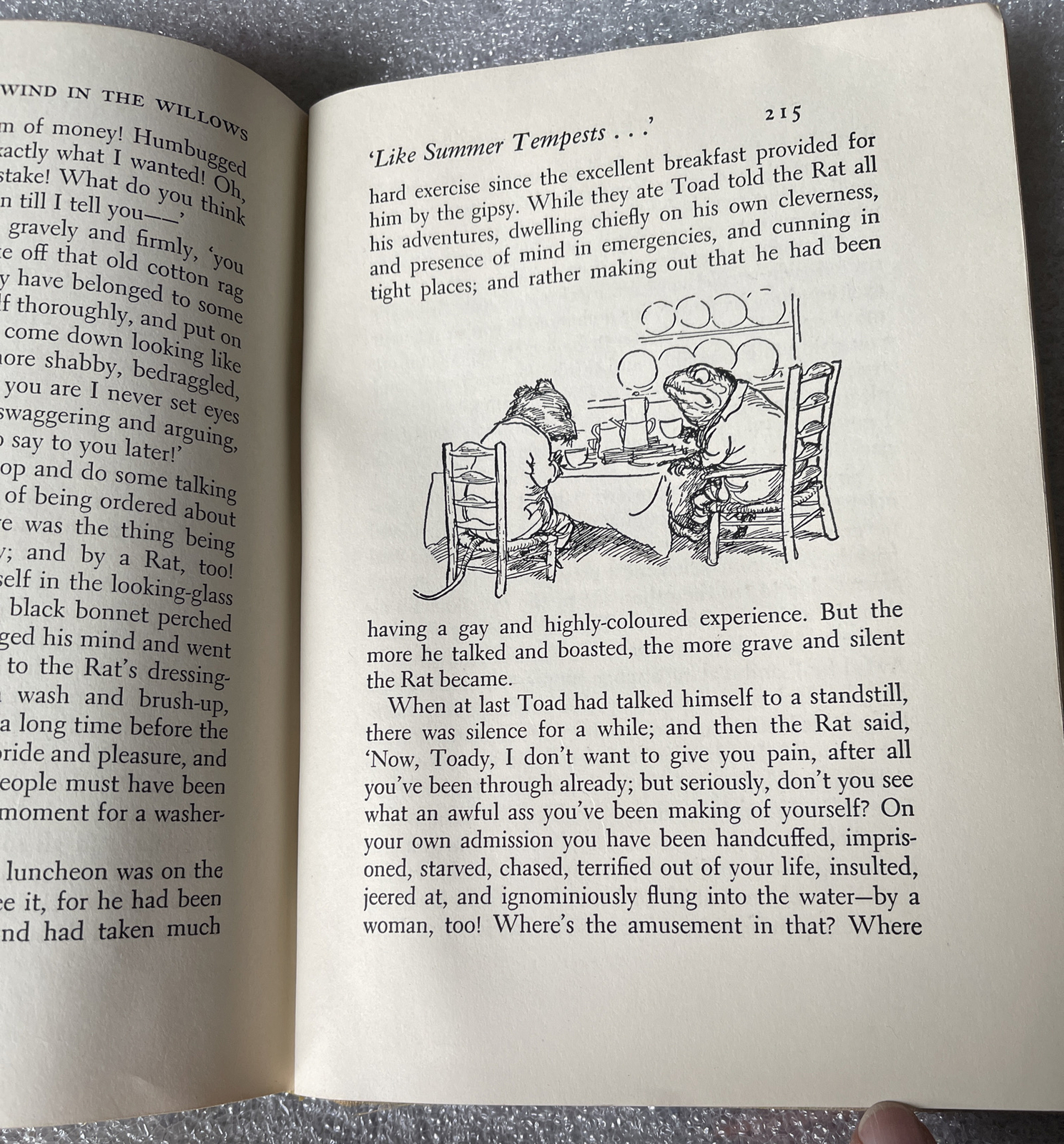 The Wind In The Willows HC 1954 By Grahame Illustrated By Shepard Good Condition