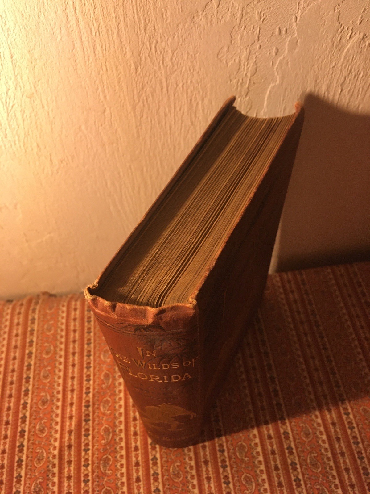 In the Wilds of Florida ~ W.H.G. Kingston 1880 1st ED TRAVEL HUNTING WARFARE