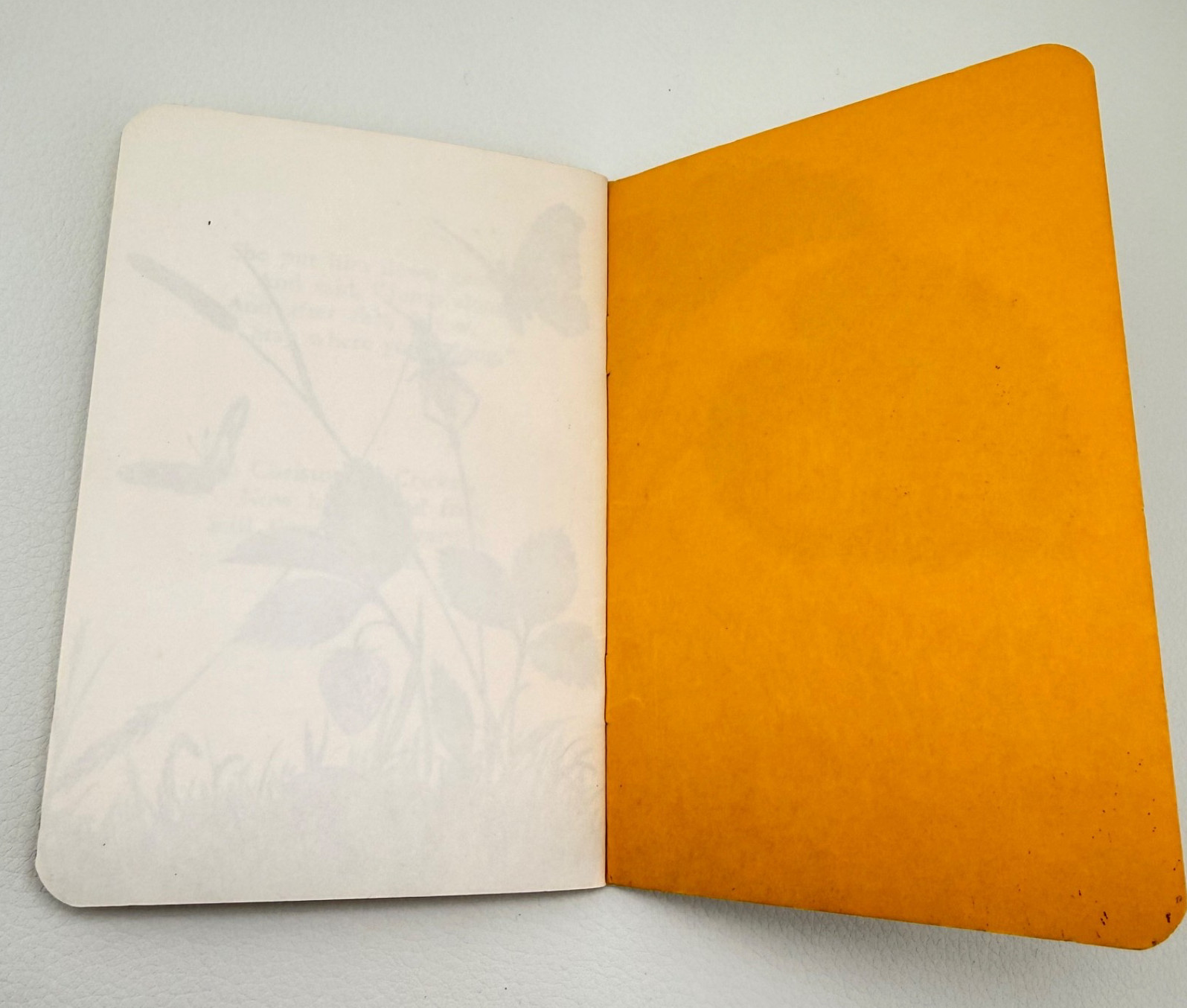 1955 Christopher Cricket Insect Mini Book Jessie Wilmore Murton SC 30pg 4×5.5″