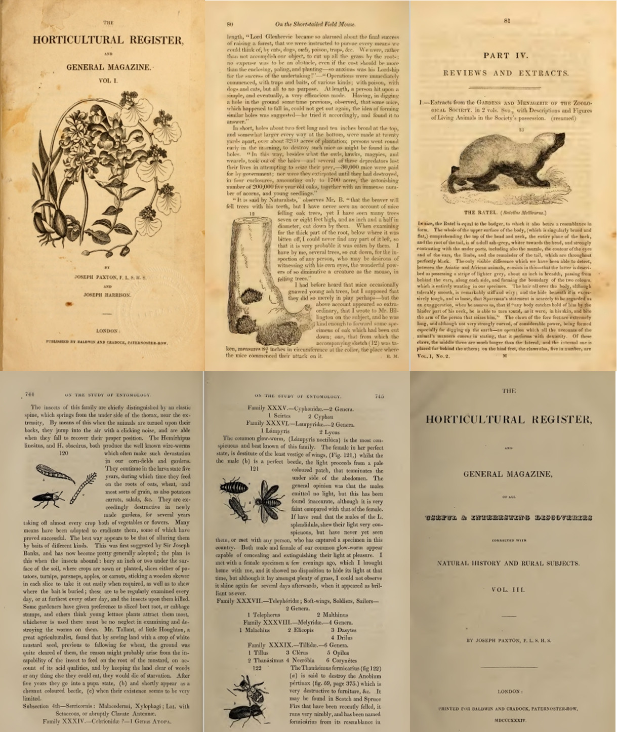 The Horticultural Register and General Magazine (1831-1836) – 5 Volumes on DVD