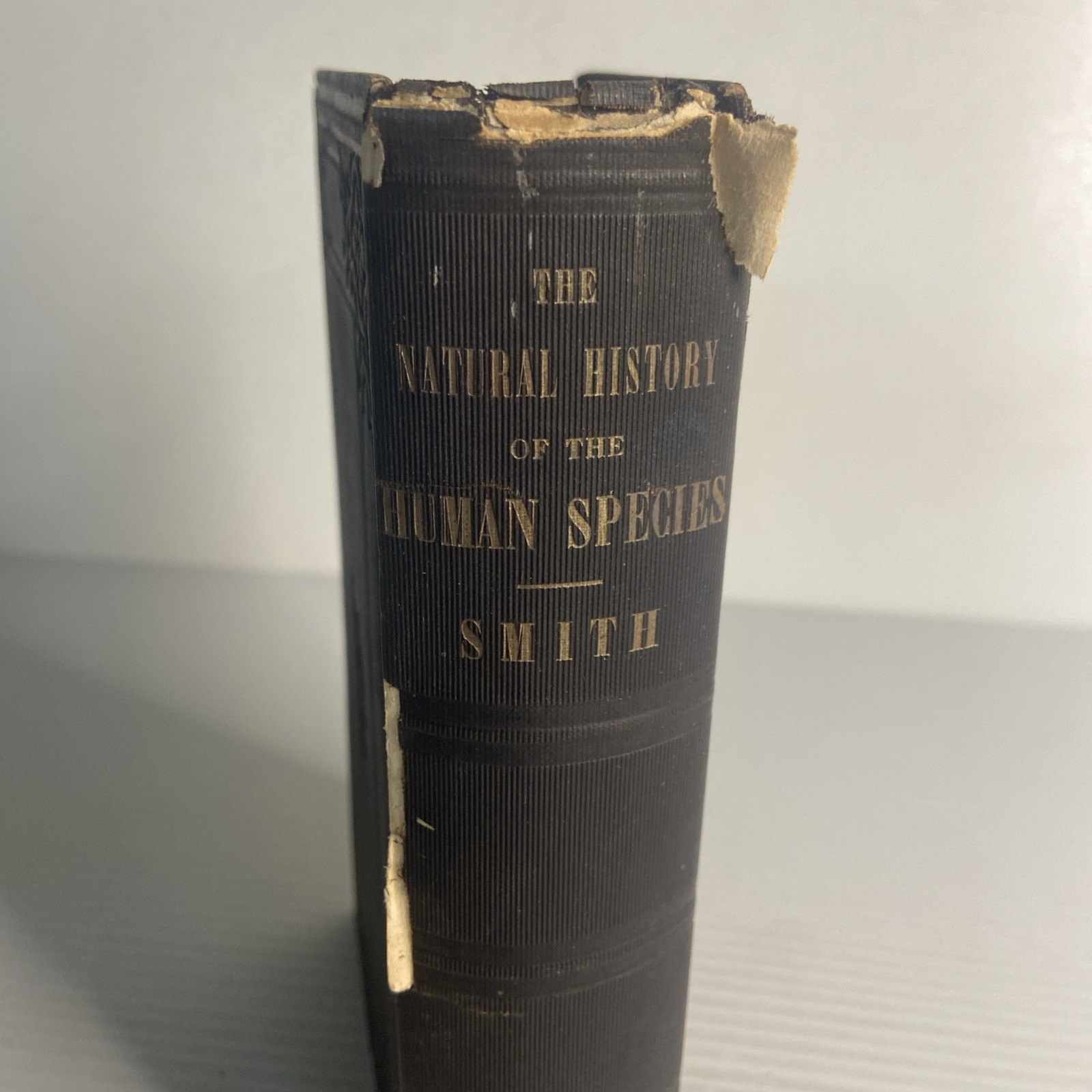 NATURAL HISTORY OF THE HUMAN SPECIES Charles Smith 1855 Gould Lincoln