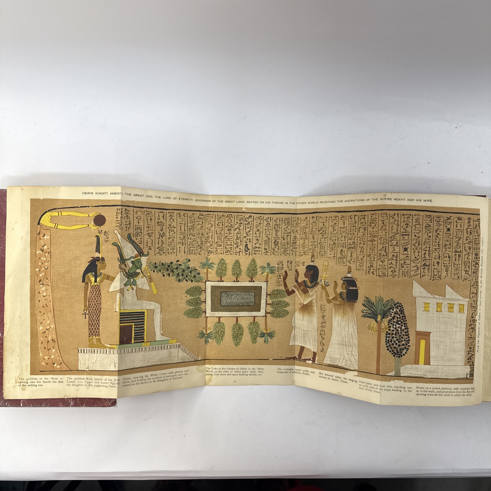 1911 Osiris Egyptian Resurrection E.A. Wallis Budge 2 Vol Occult Set w/ Fold Out