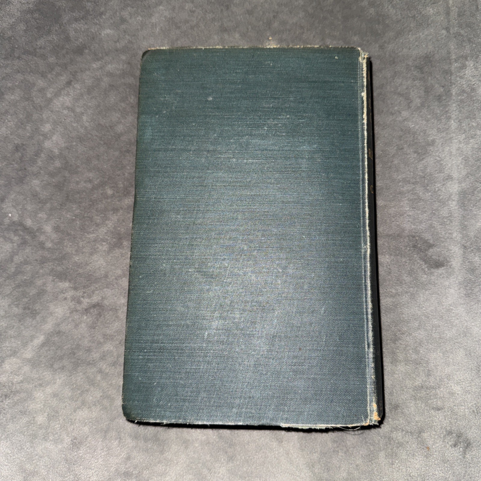 Beatrice D’Este Duchess of Milan by Julia Cartwright 1903 Renaissance
