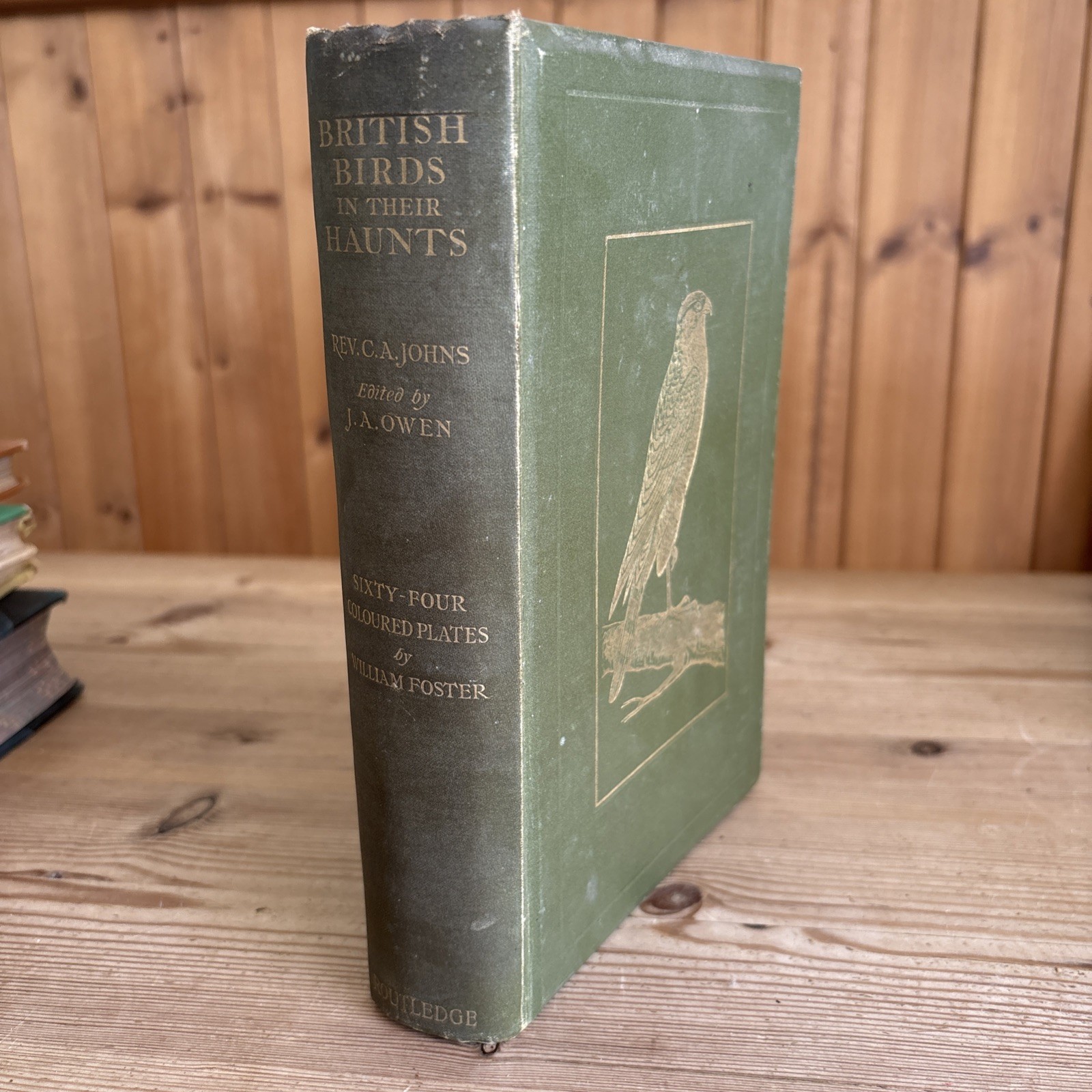 BRITISH BIRDS IN THEIR HAUNTS – REV C A JOHNS ROUTLEDGE 1909 1ST IMPRESSION